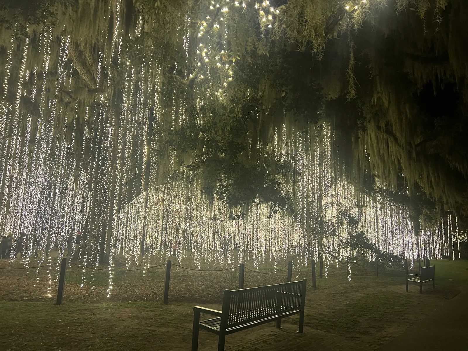 ✨ Nights of a Thousand Candles: A Local’s Guide