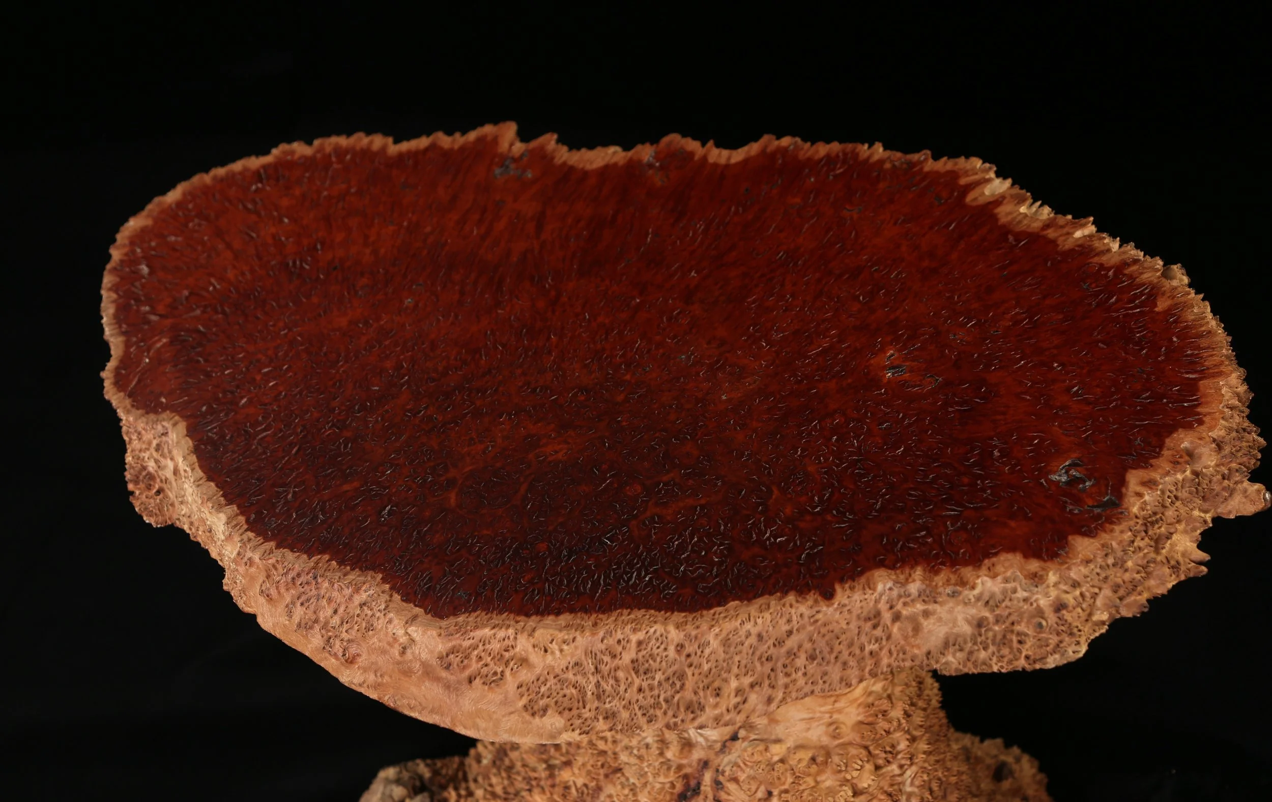 052A9460.JPG