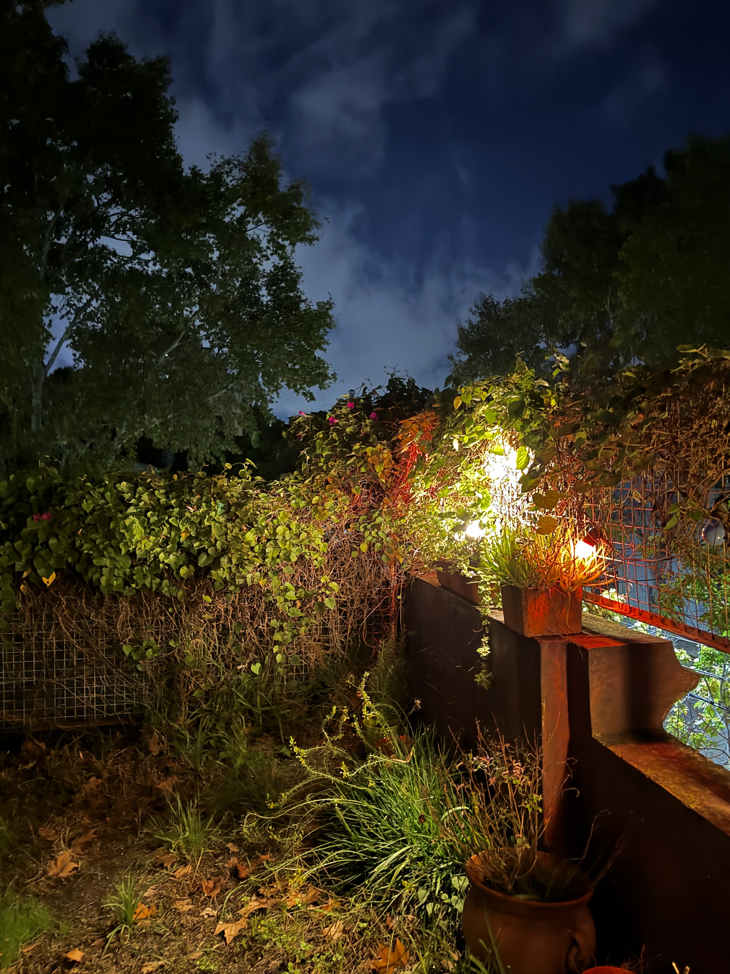 ➤ Palermo, Buenos Aires