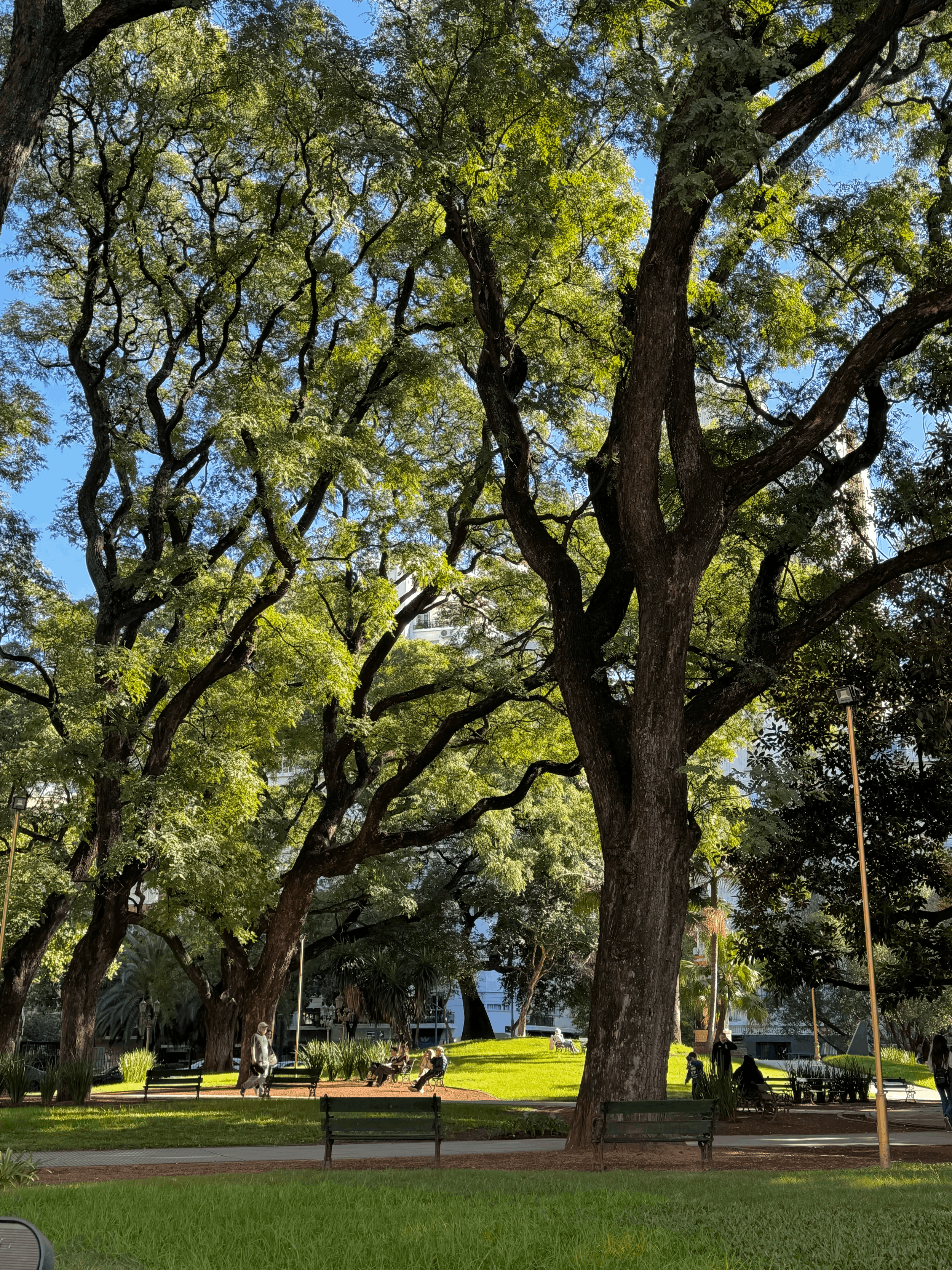 ➤ Recoleta, Buenos Aires