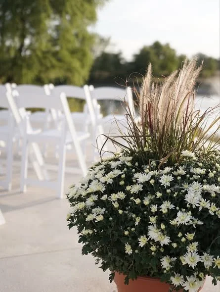 Patio 1.jpg
