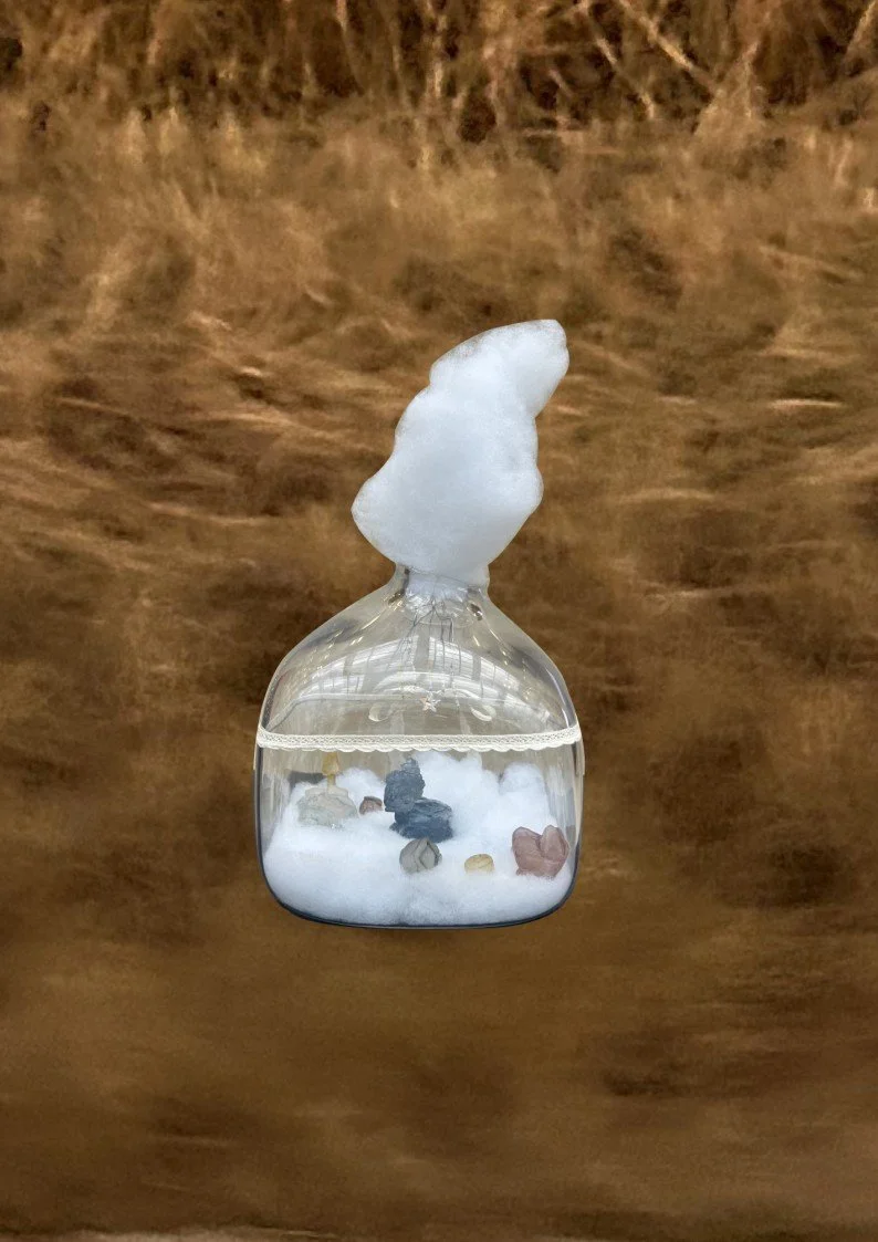 birdie dream house (available)