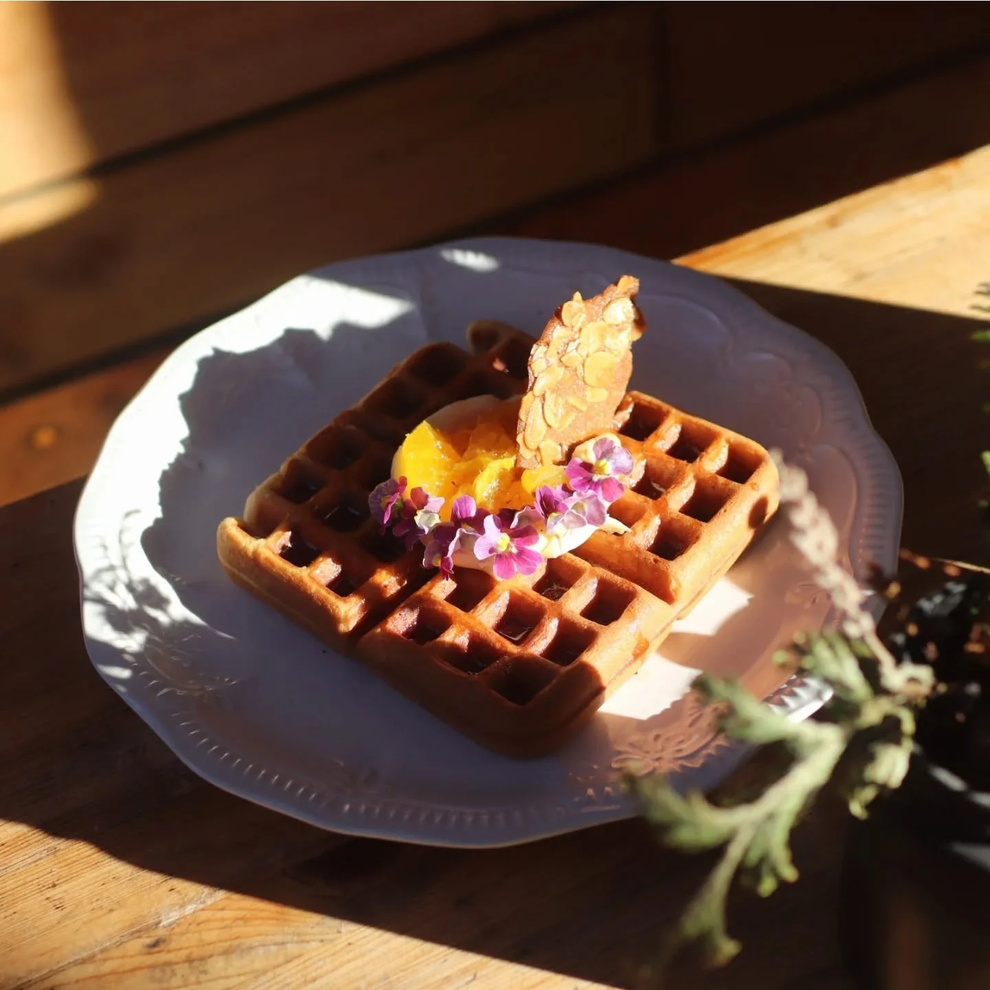 Biscoff waffle

With whipped malt mascarpone, spiced poached orange, almond praline, lemon myrtle maple. 

#hobartgoodfood #hobartbrunch #localcafe #BatteryPointVibes