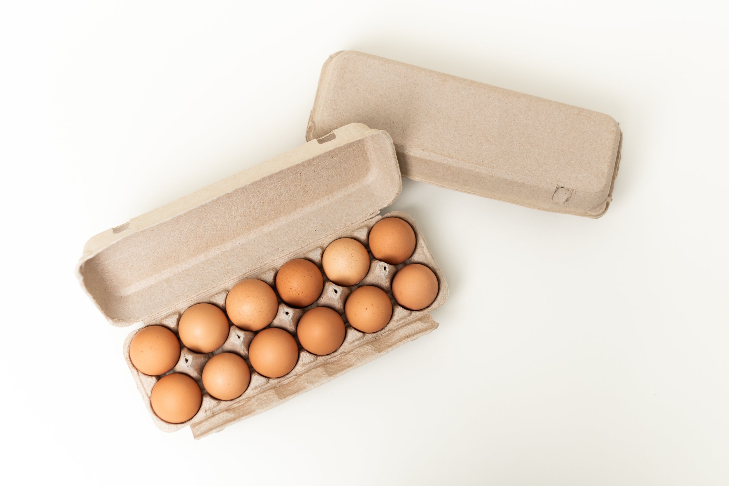 The-Egg-Carton-Store.226.jahnilynnphoto.com-5.jpg