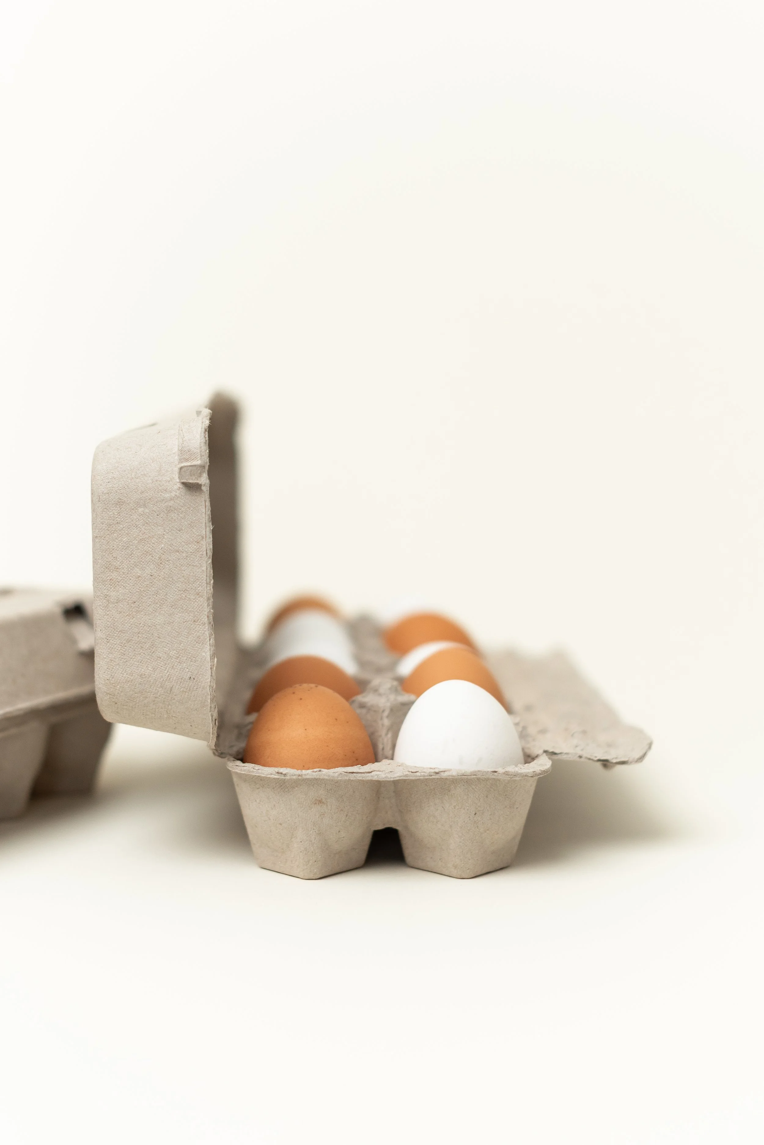 The-Egg-Carton-Store.226.jahnilynnphoto.com-30.jpg
