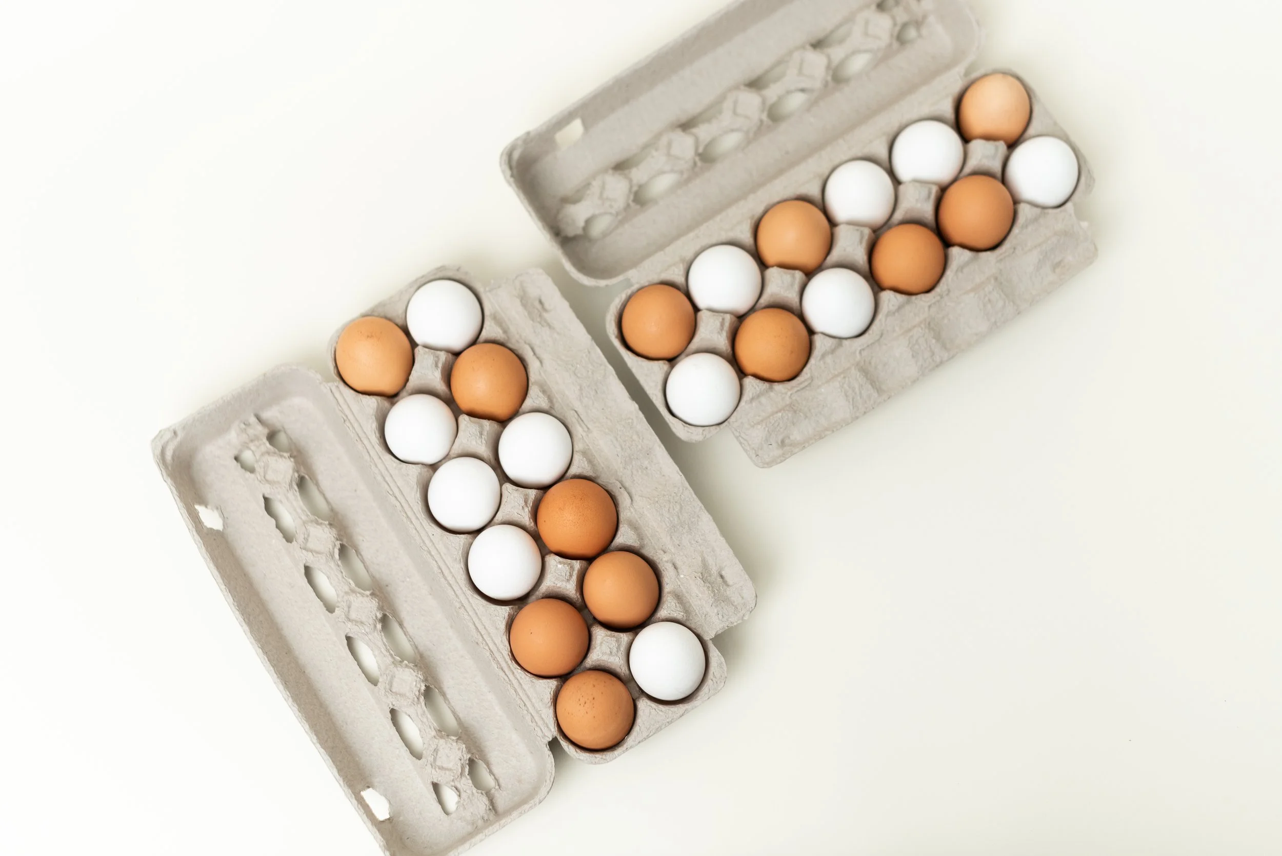 The-Egg-Carton-Store.226.jahnilynnphoto.com-25.jpg