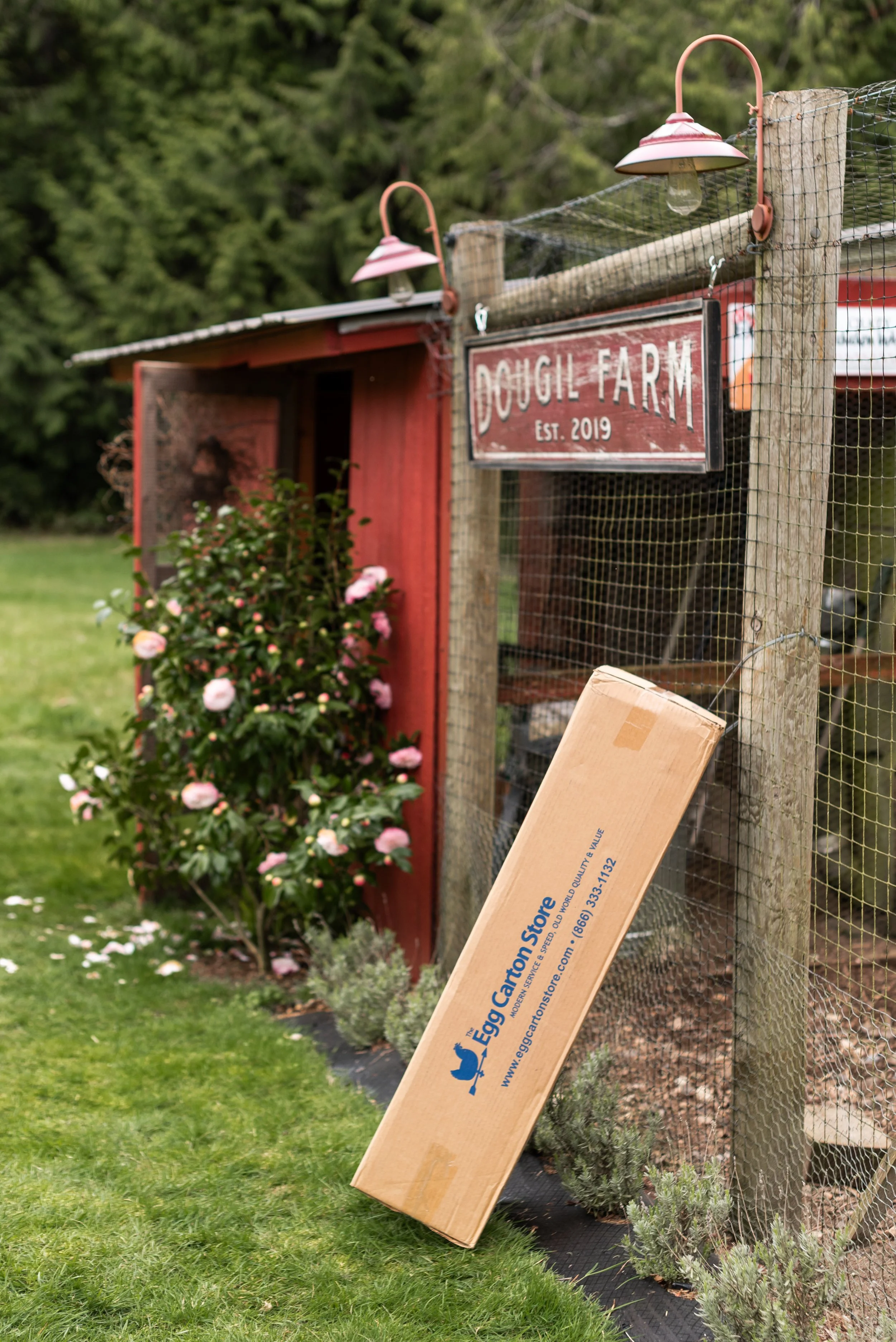 The-Egg-Carton-Store.426.jahnilynnphoto.com-30.jpg