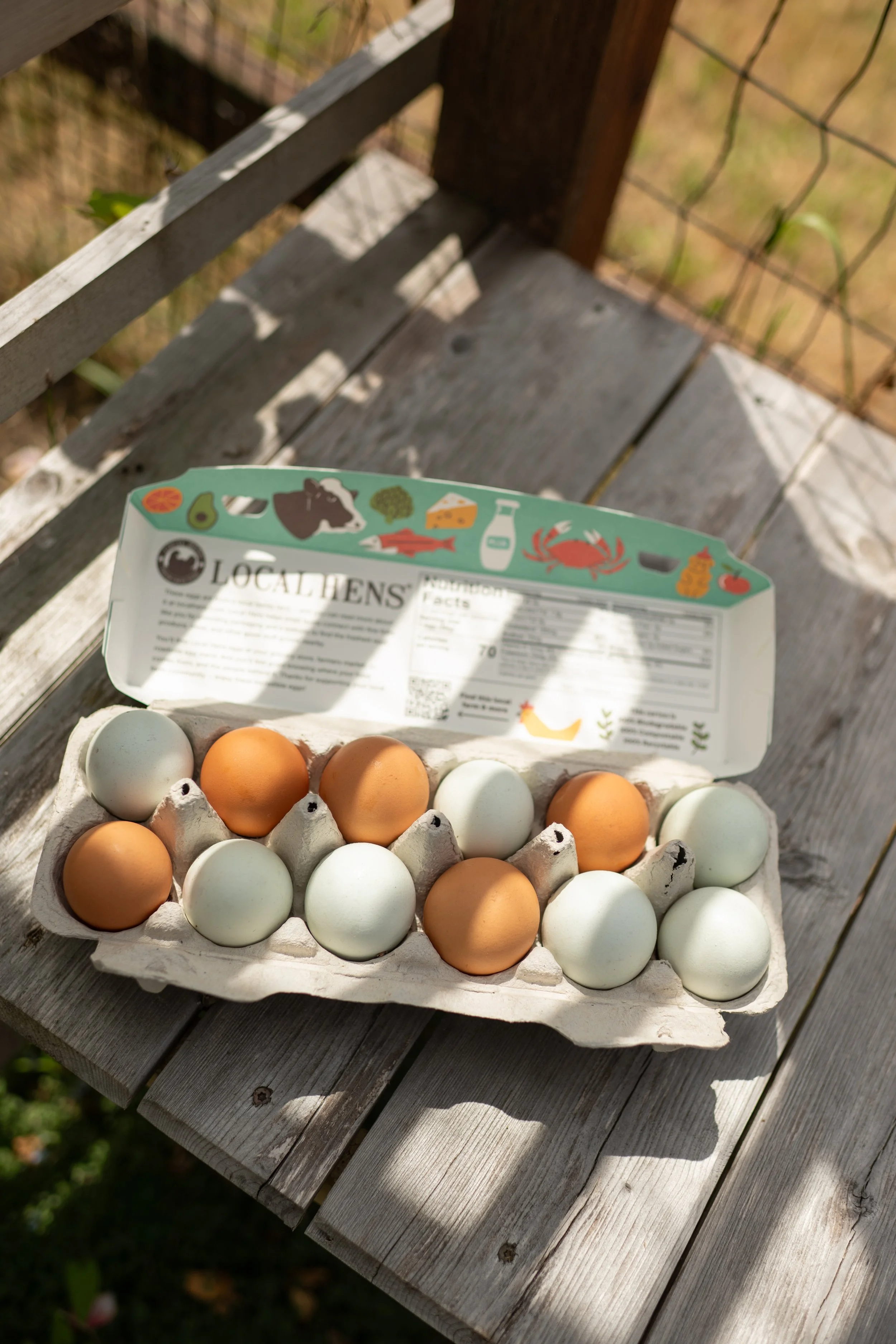 TheEggCartonStore6.26.jahnilynnphoto.com-31.jpg