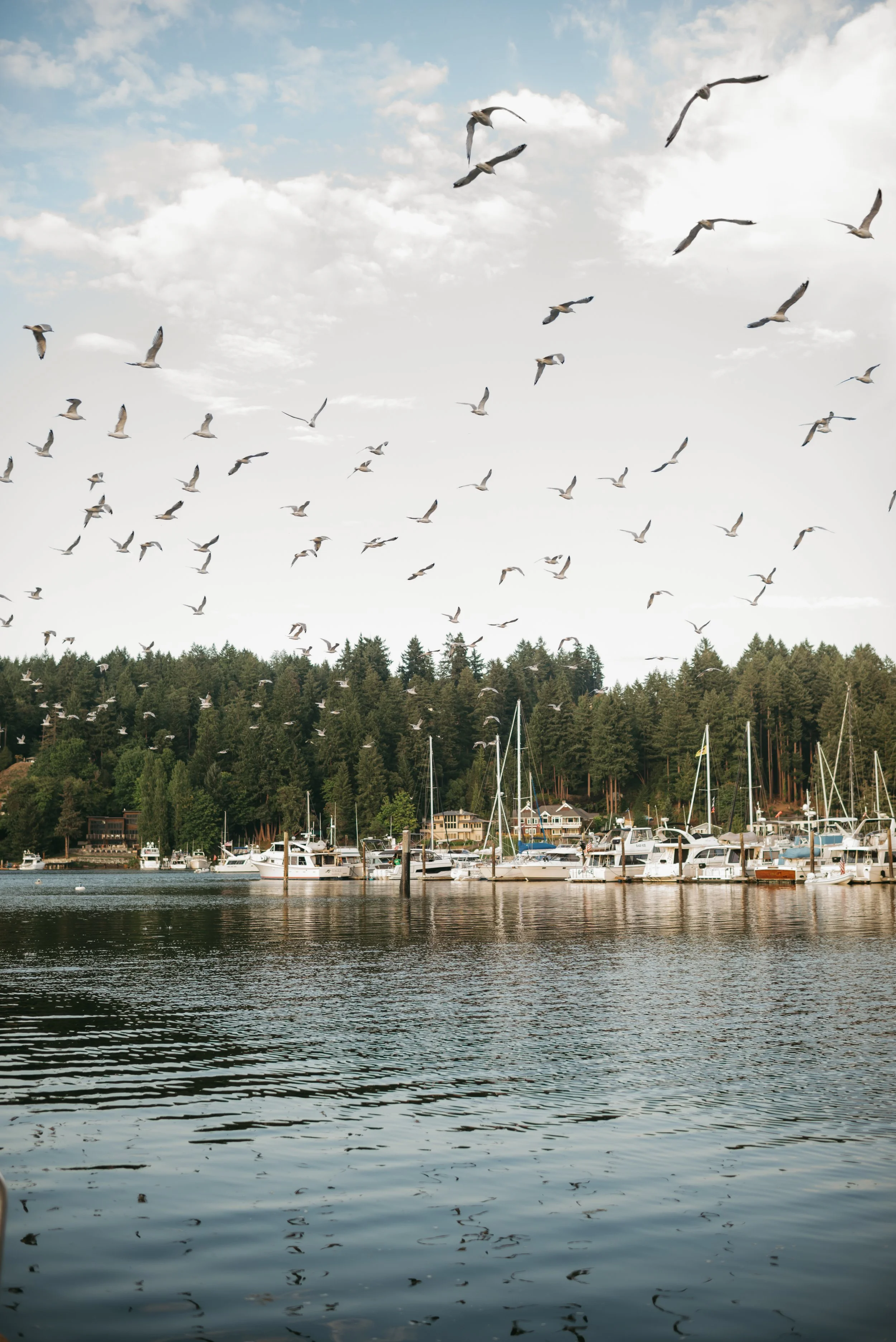 Gig Harbor Washington, Beyond Harbor Waves Marketing Agency, Jahni Lynn Photo