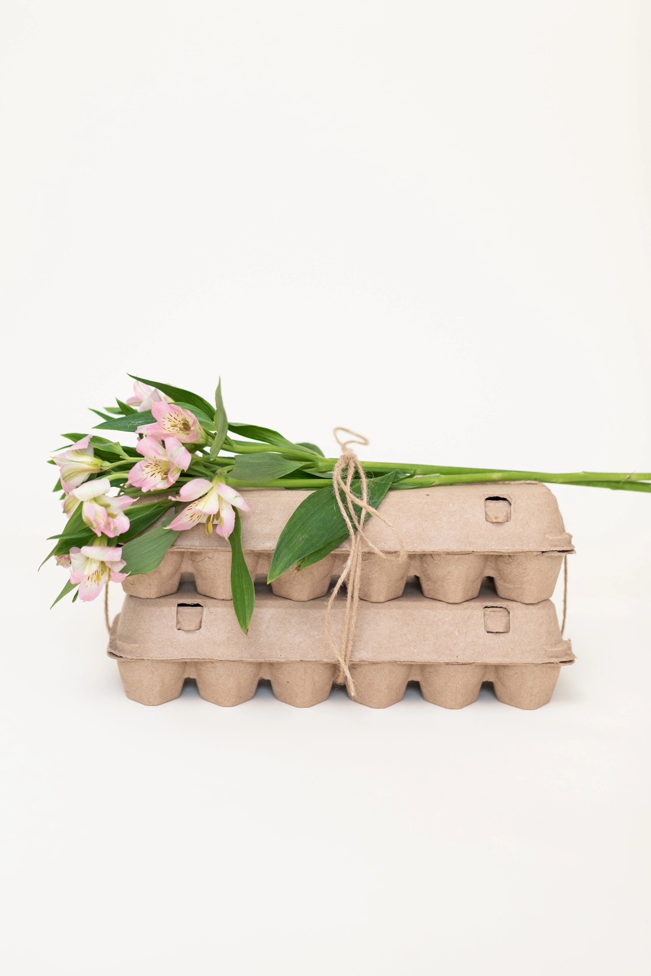 The-Egg-Carton-Store.326.jahnilynnphoto.com-26.jpg