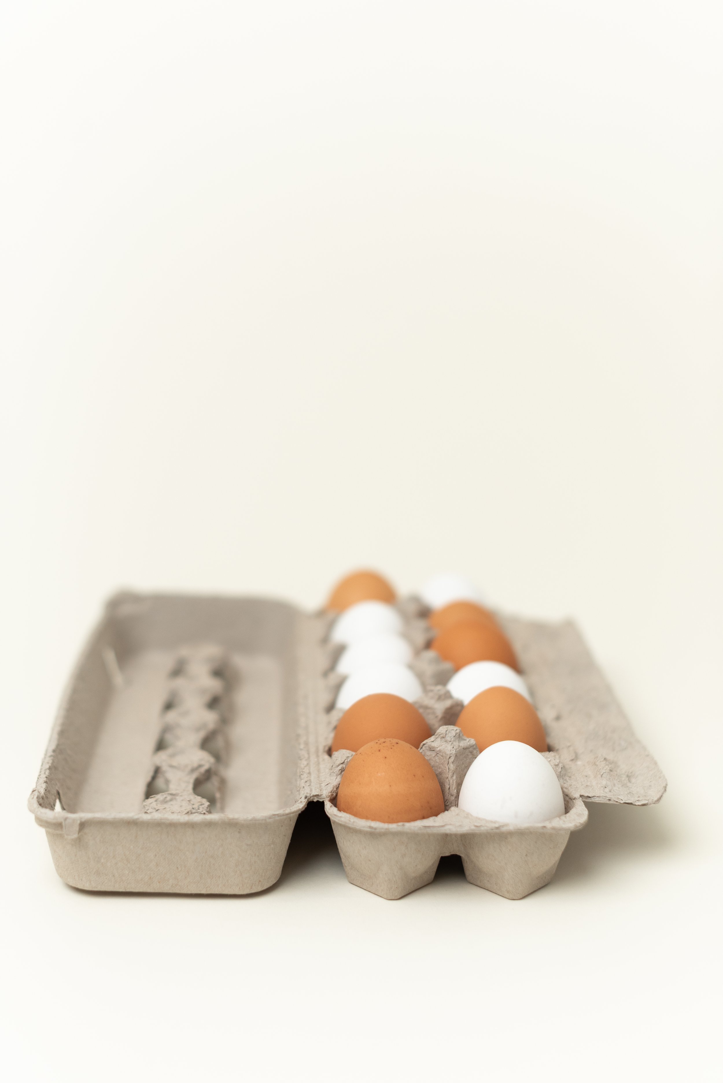 The-Egg-Carton-Store.226.jahnilynnphoto.com-33.jpg