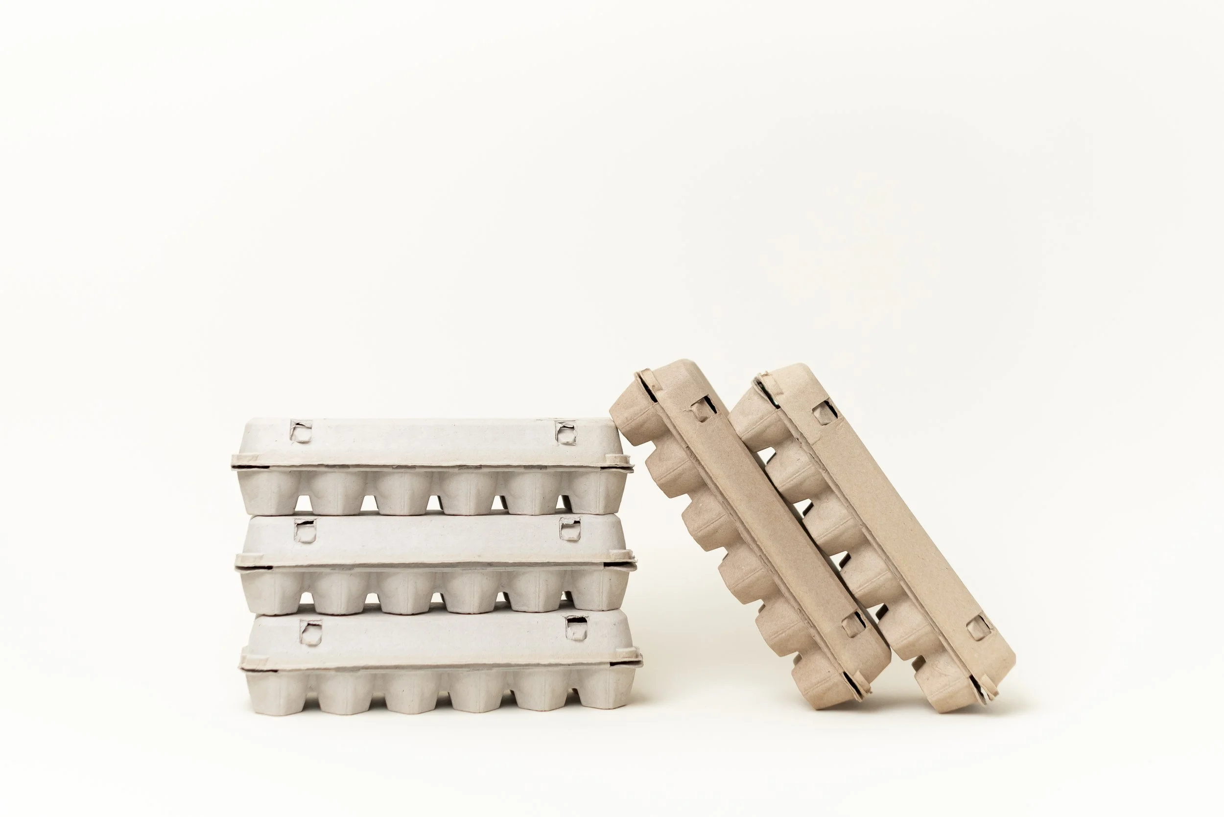 The-Egg-Carton-Store.226.jahnilynnphoto.com-9.jpg