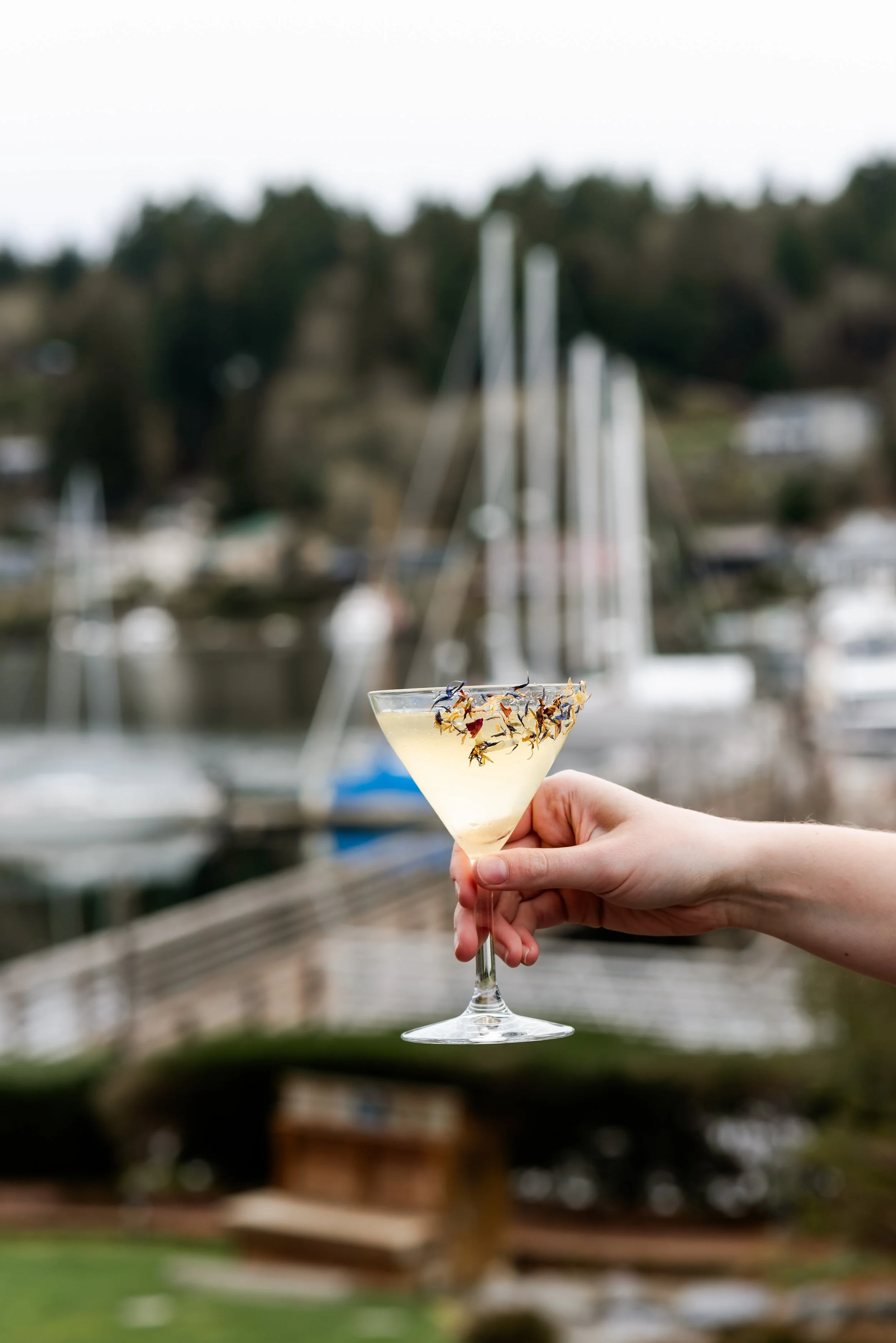 Brix 25, Gig Harbor Washington, Beyond Harbor Waves Marketing Agency, Jahni Lynn Photo