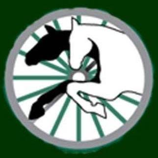 Carriage House Farm Red Pine Hunter/Jumper