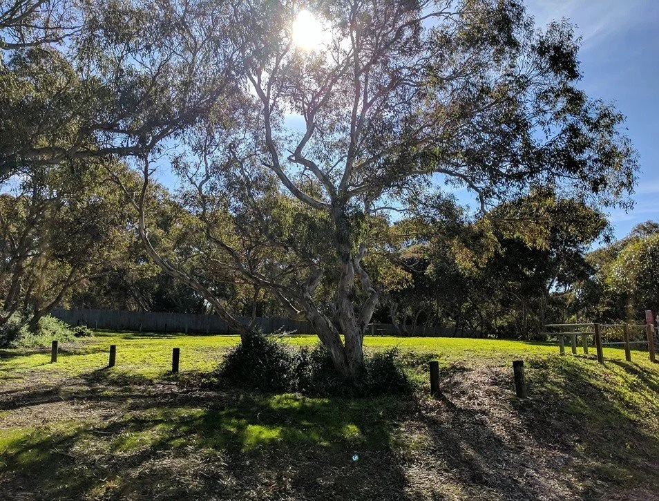 upper campground 2.jpg
