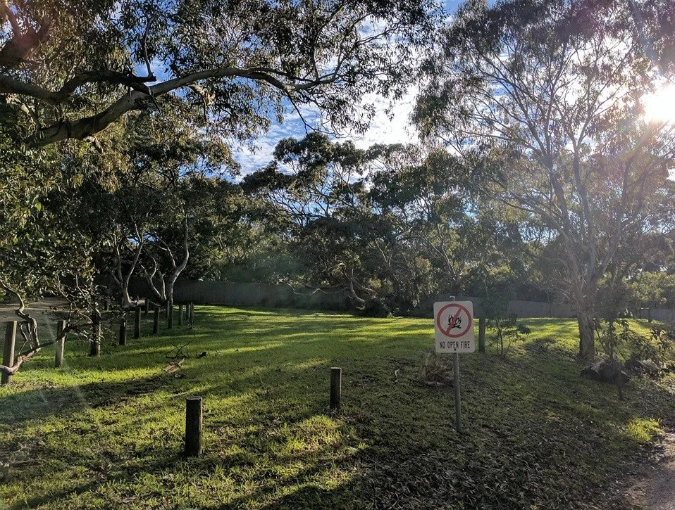 lower campground.jpg