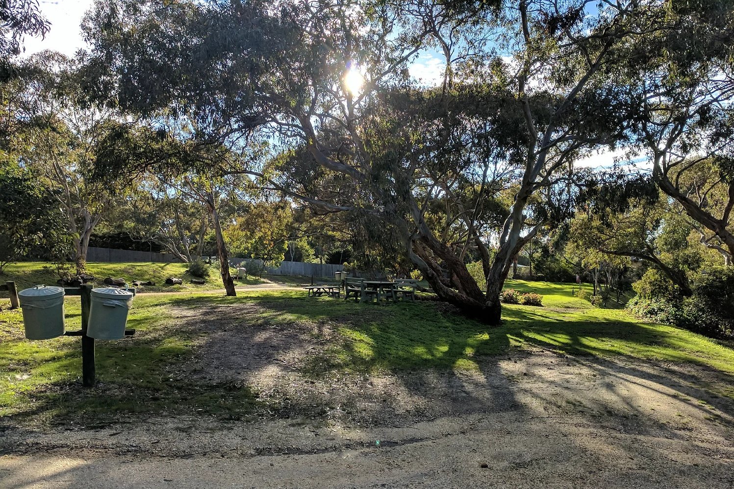 A park scene with large trees providing shade, a gravel path leading to picnic tables, and two garbage cans on posts in the foreground. The sun shines through the tree branches, casting shadows on the ground.