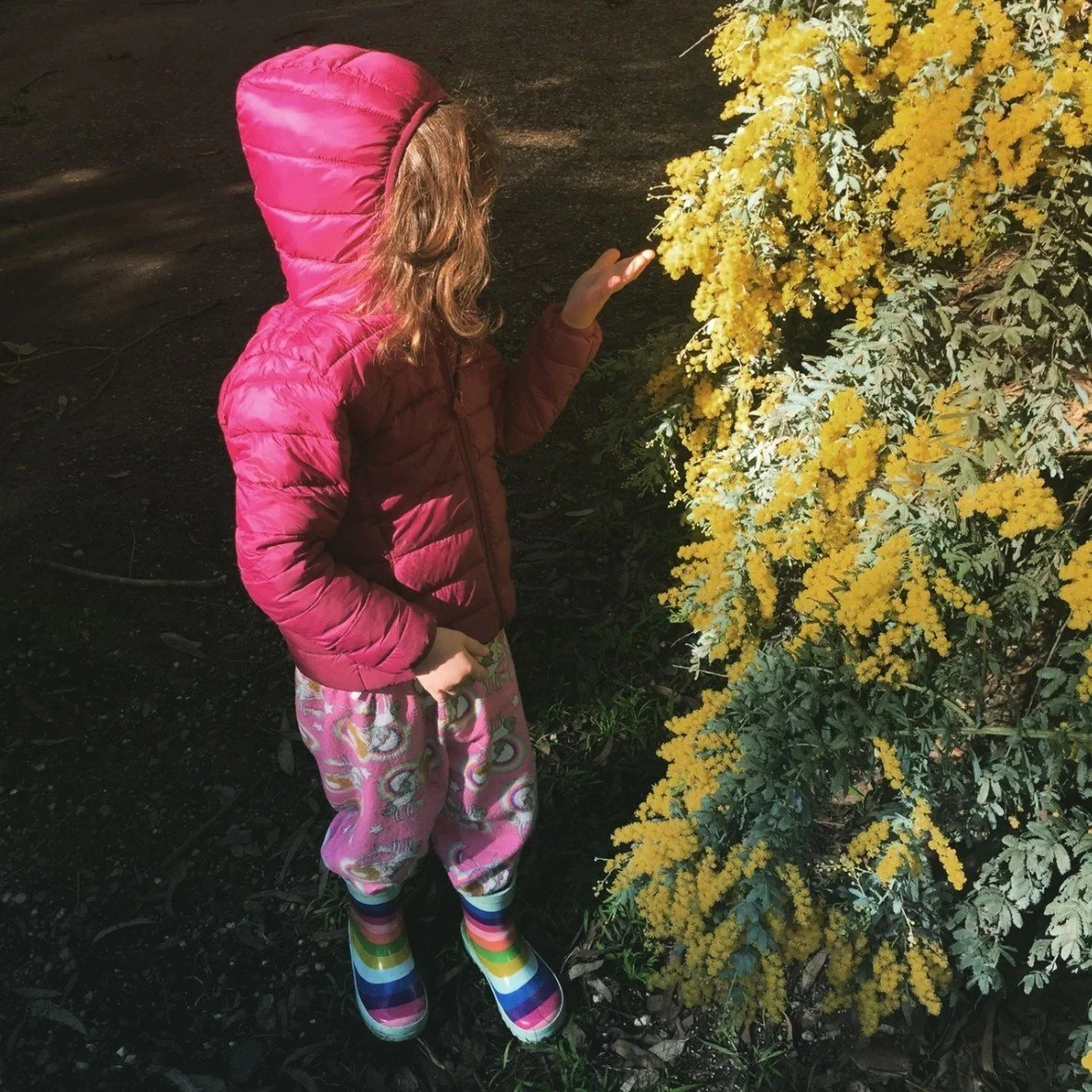 A young girl with curly hair wearing a pink puffy jacket, rainbow-striped rain boots, and colorful pajama pants, standing outdoors and reaching out to touch a large yellow flowering bush.