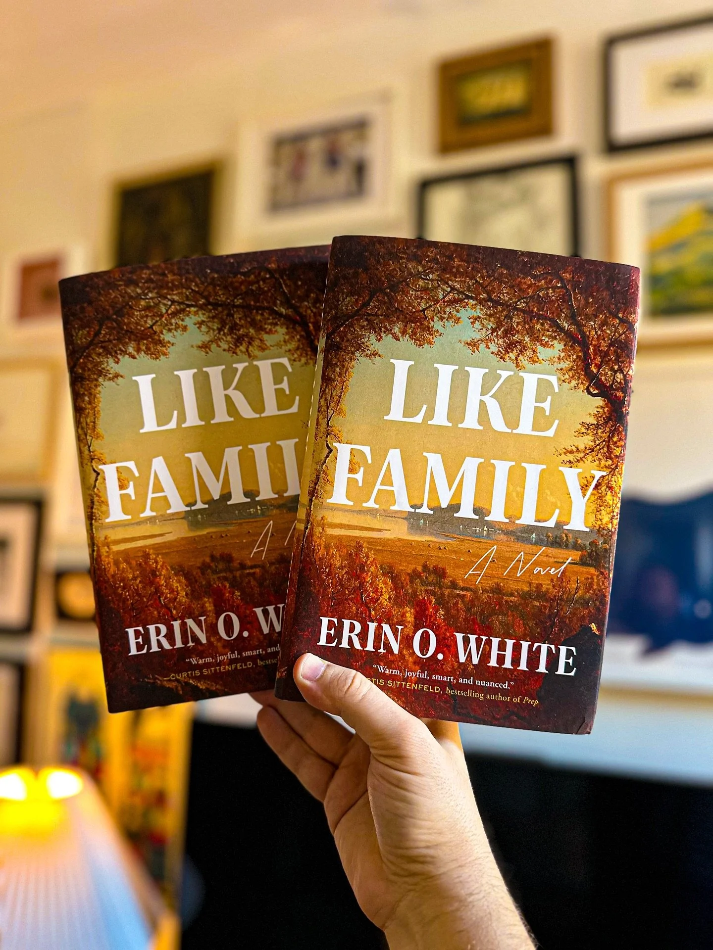 TWO WINNER GIVEAWAY 🍂🍁🍂🍁

Just in time for Pub Week! LIKE FAMILY by @erinowhite is the perfect year-end reading slumpbuster for my friends who love lush, literary environments, dysfunctional families, interwoven friend groups, and communities com