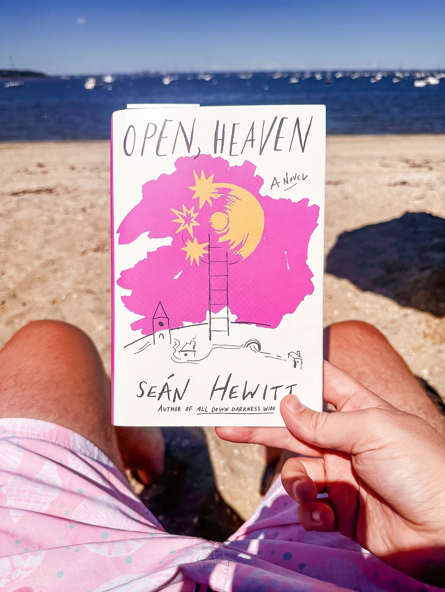 ★★★★ -  Have you ever put a book down, picked it back up in a new season, and developed a brand new adoration for it? 

I started Sean Hewitt&rsquo;s OPEN, HEAVEN while on the beach this August, allowing the sun, the waves, and the glow of a gay summ