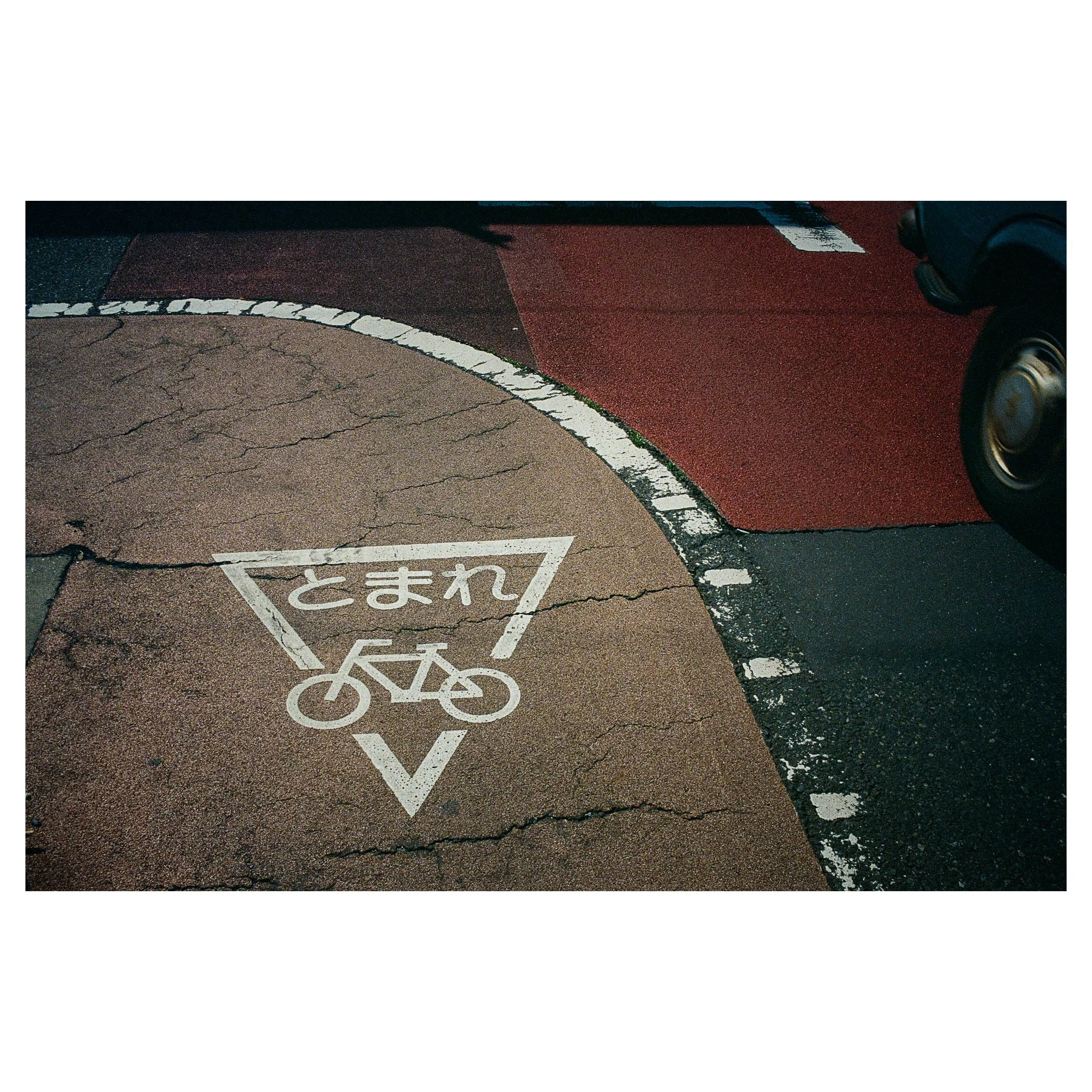 20260322_FilmScans_6460017.jpg