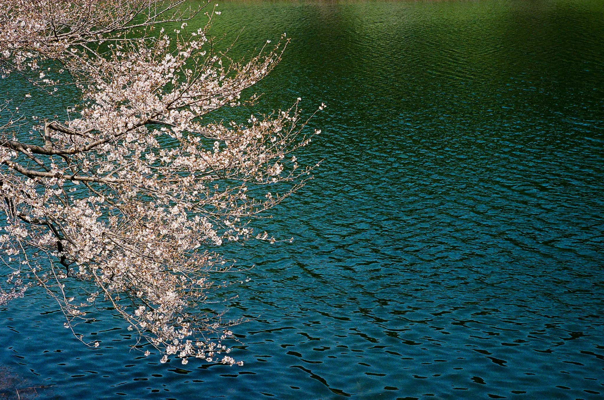 20260406_481830014.JPG