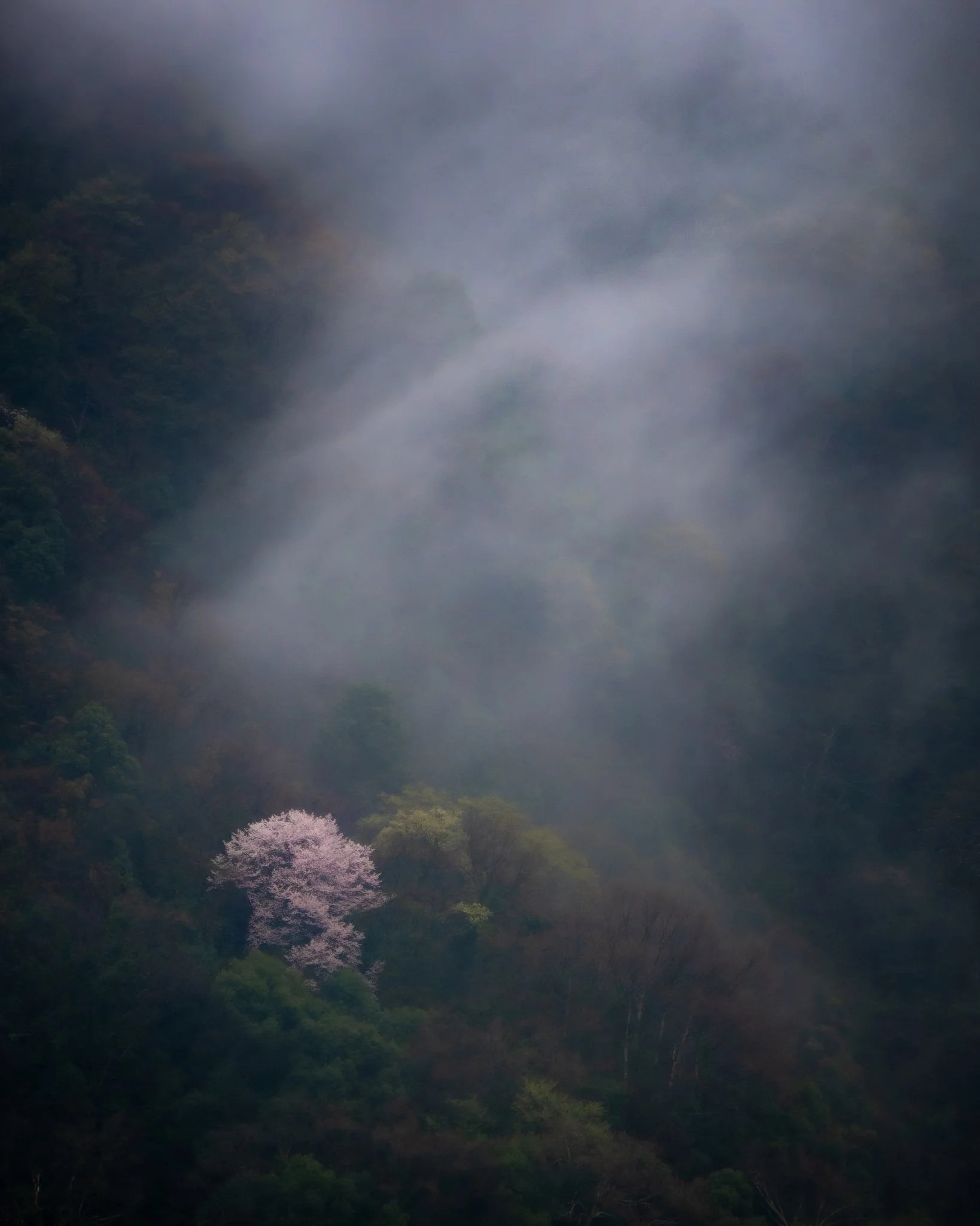 Essence Exhibition 2024 - Stephen McLaughlan Gallery