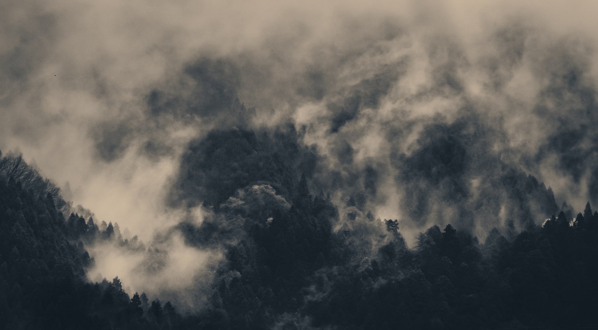 Essence Exhibition 2024 - Stephen McLaughlan Gallery