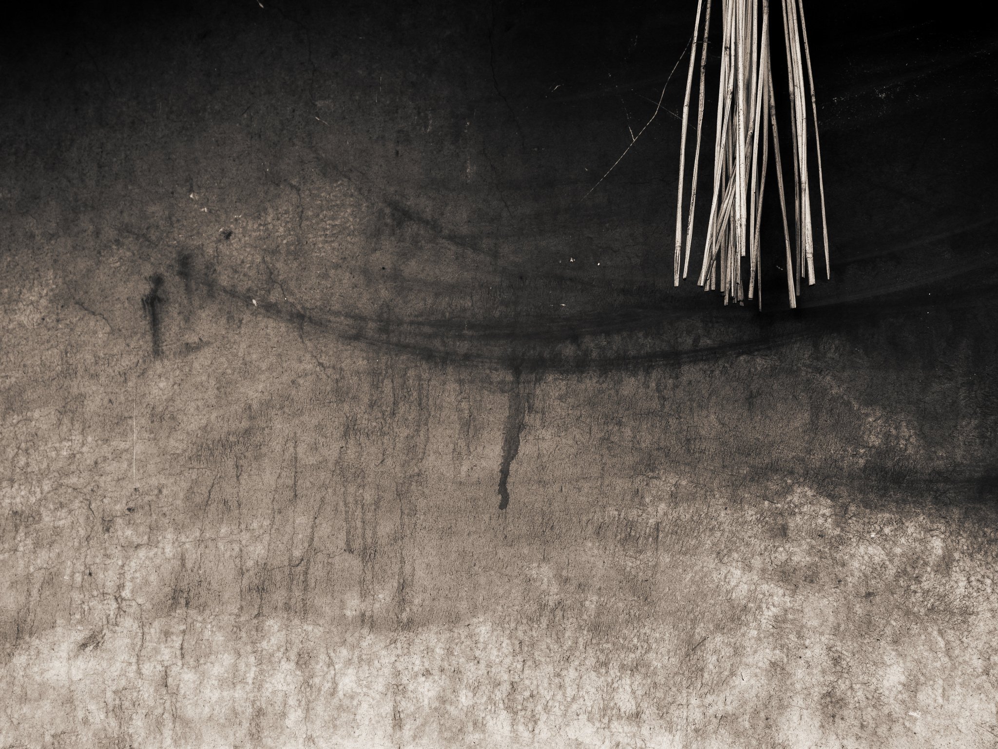 Essence Exhibition 2024 - Stephen McLaughlan Gallery