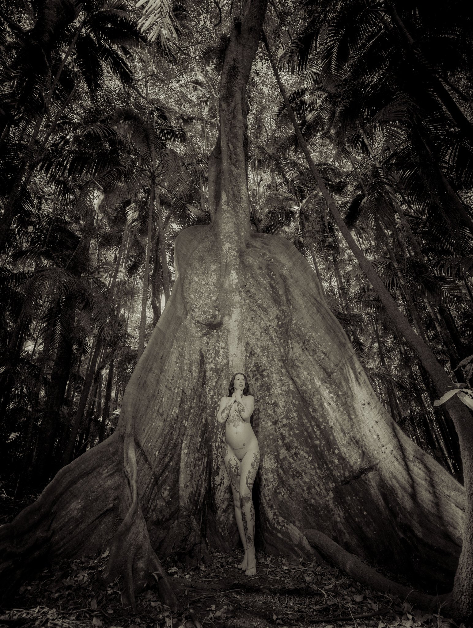 Essence Exhibition 2024 - Stephen McLaughlan Gallery