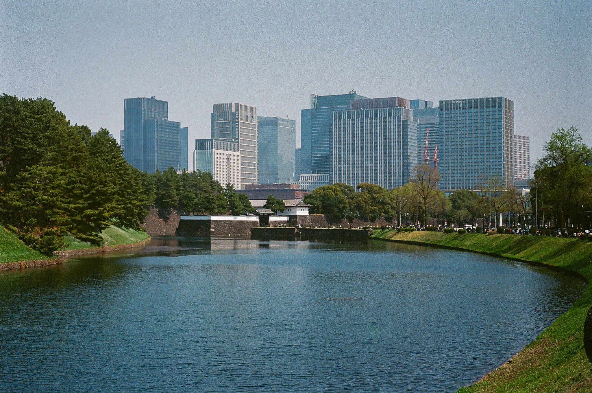 20260406_481830013.JPG