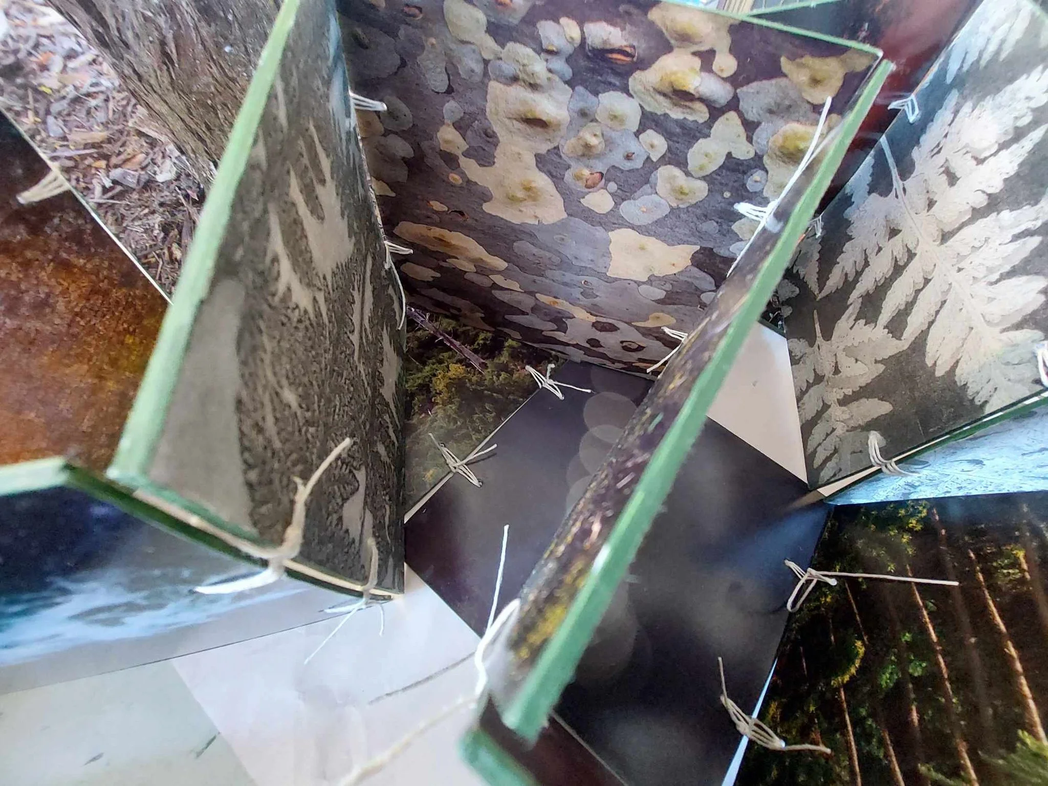 Essence Exhibition 2024 - Stephen McLaughlan Gallery