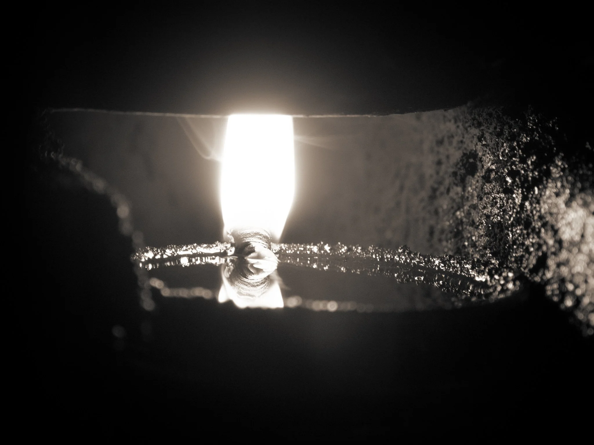 Essence Exhibition 2024 - Stephen McLaughlan Gallery