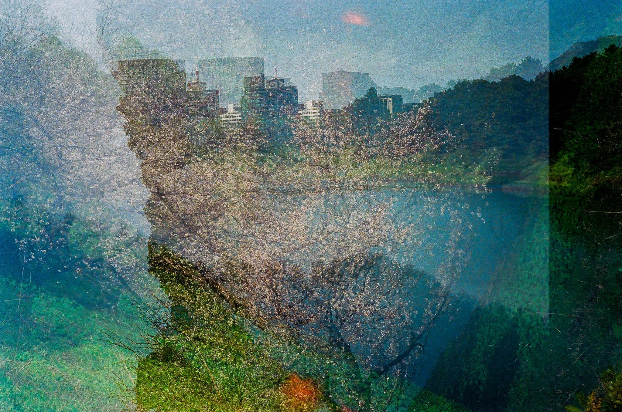 20260406_481900038.JPG