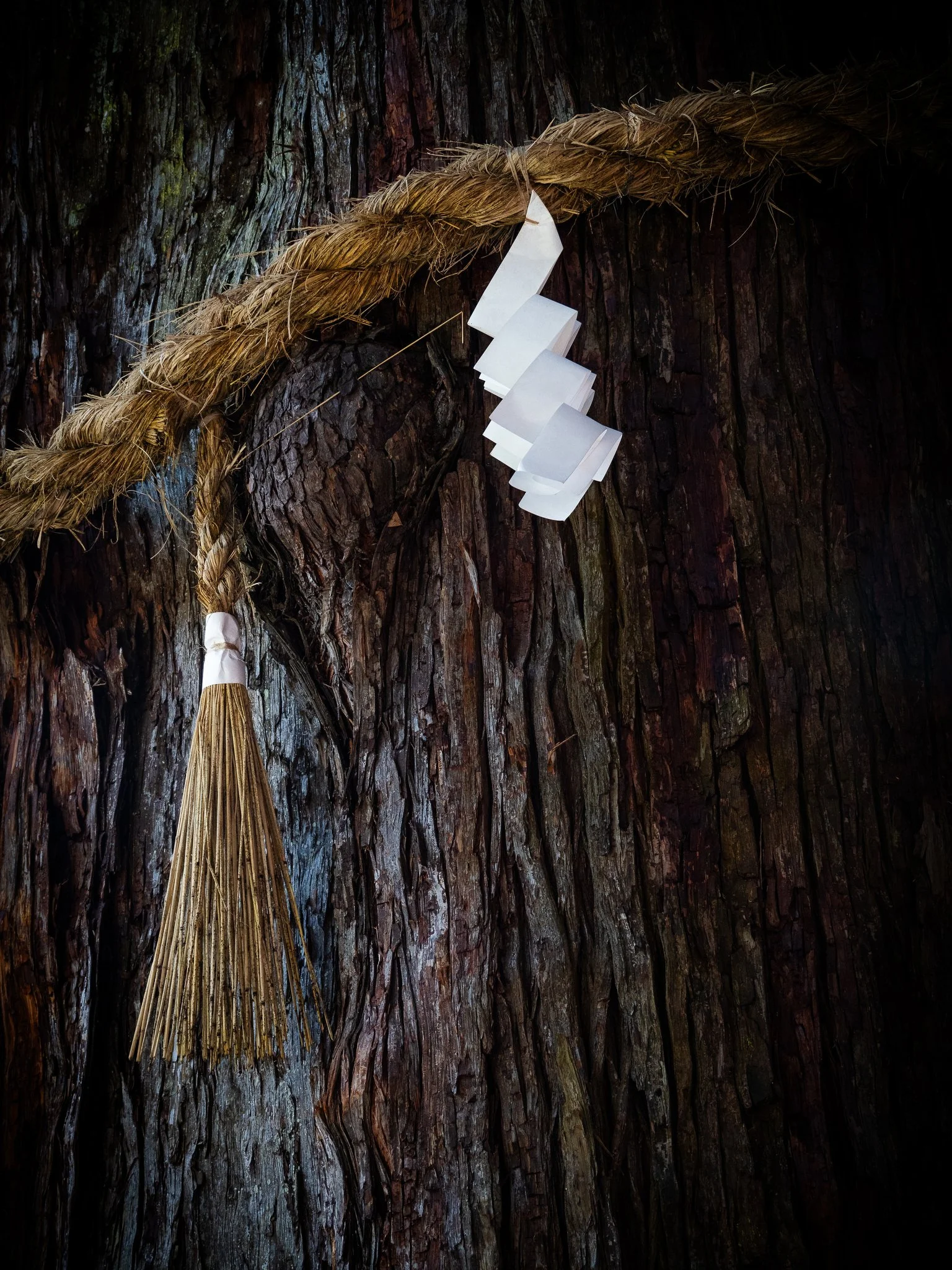 Essence Exhibition 2024 - Stephen McLaughlan Gallery