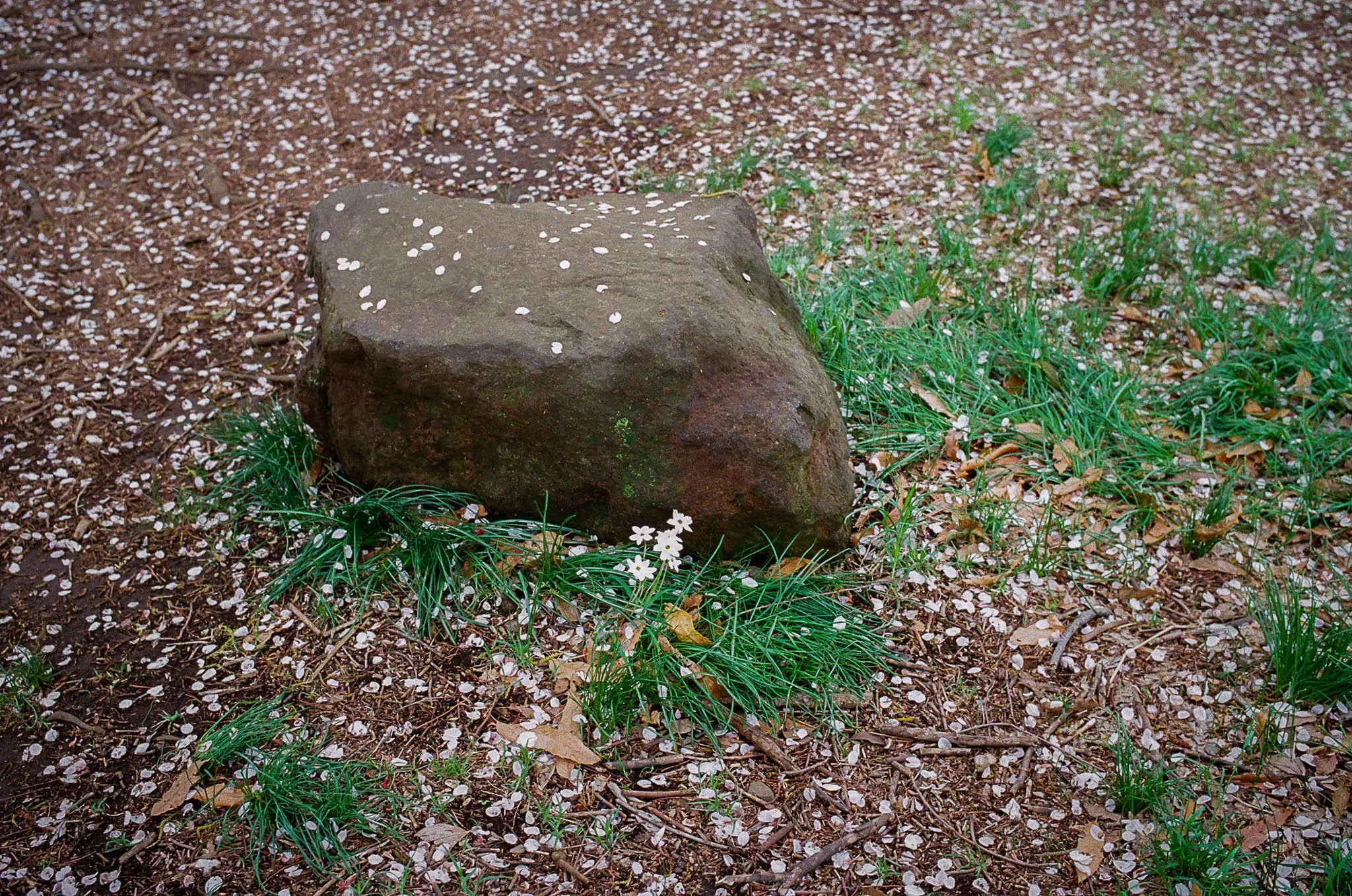 20260406_481830027.JPG