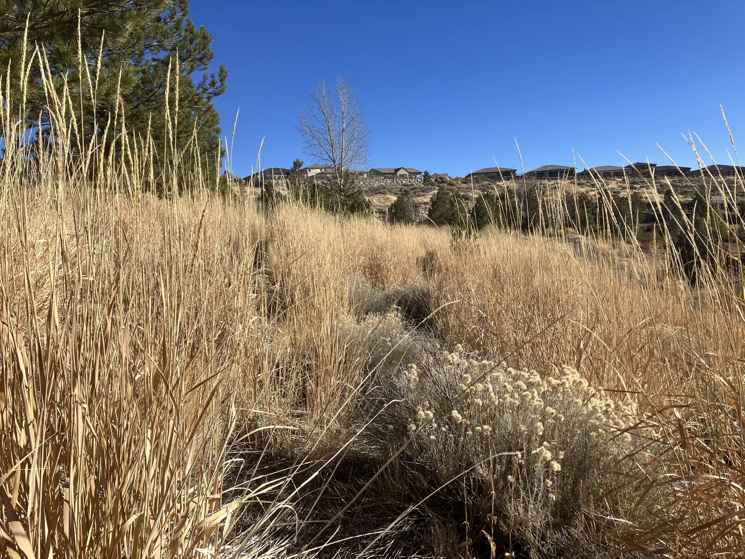 Oranssi project: wraparound deck