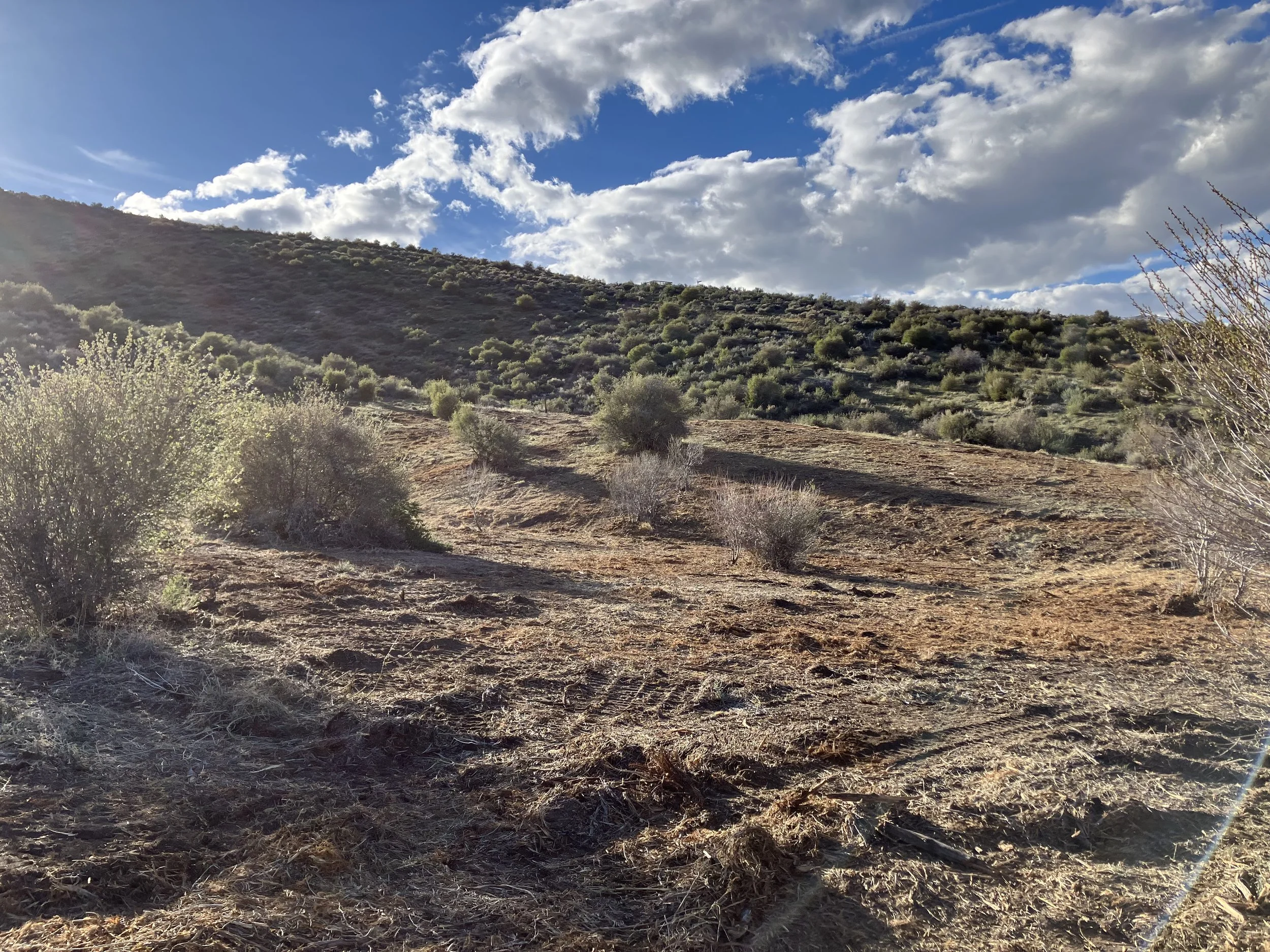 Oranssi project: roof expansion