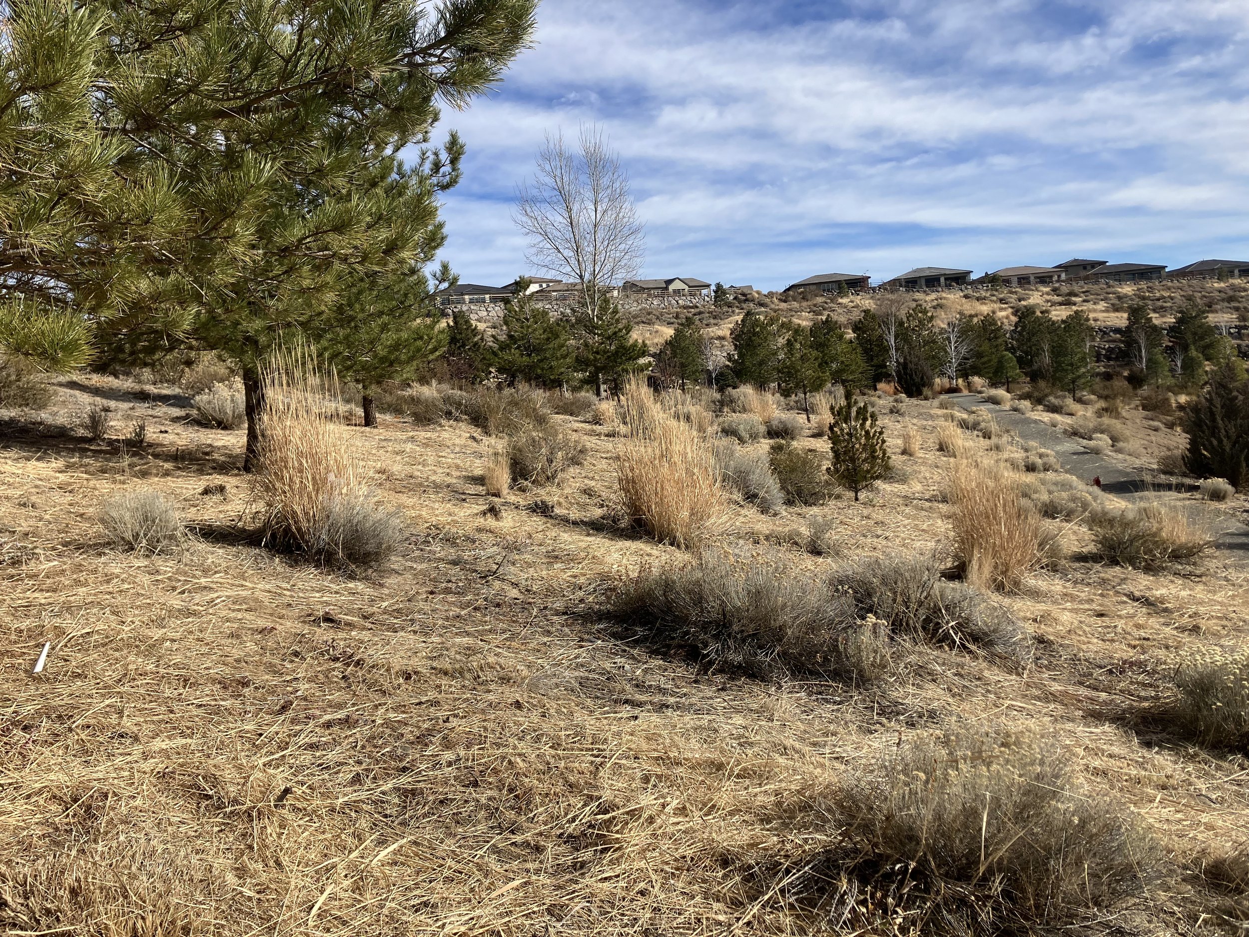 Oranssi project: passive house