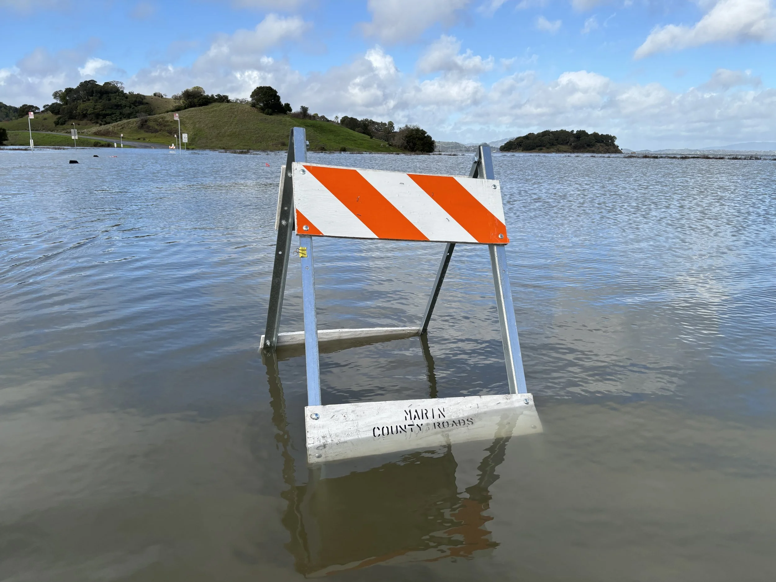 IMG_2167 (2).JPG