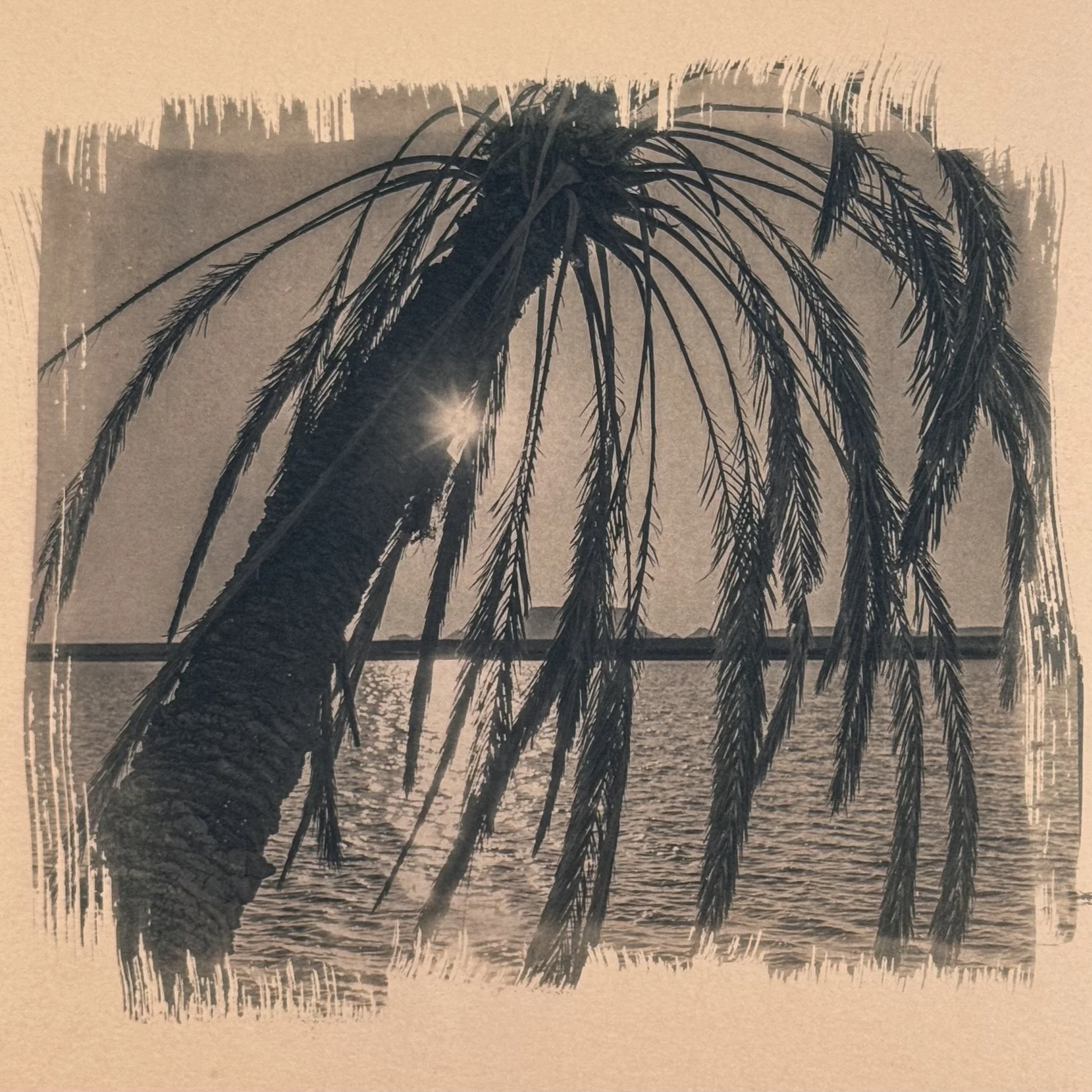 Cyanotype Toning: Beyond the Blue - Sunday, October 18