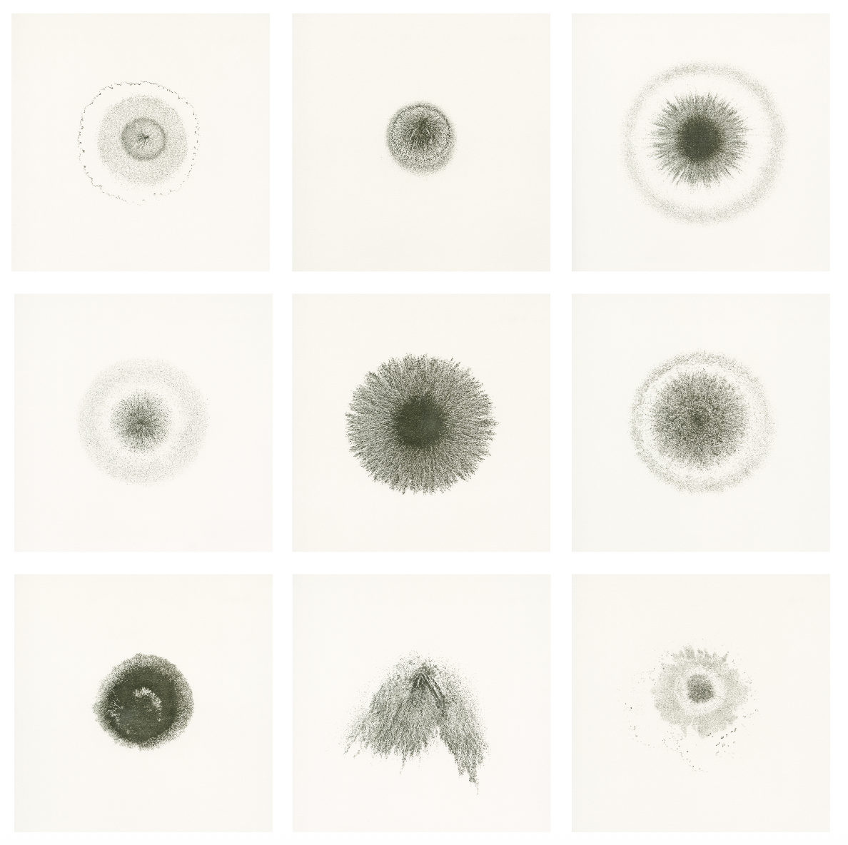 Nicole Phungrasamee Fein, Wild Child 9 (series), 2025, white gold on paper, 11 × 11 in, courtesy of the artist