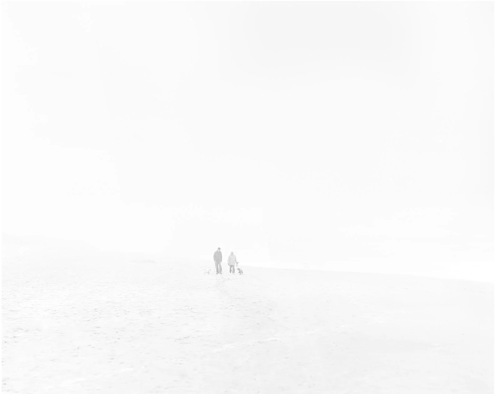 Tressa Pack, Wanderers in a Sea of Fog, #6, archival inkjet print, 20 × 25 in, courtesy of the artist