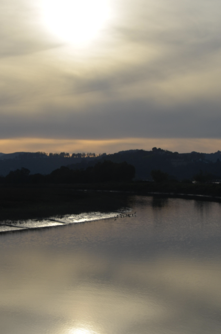 Screenshot 2026-04-29 at 10.35.16 AM.png