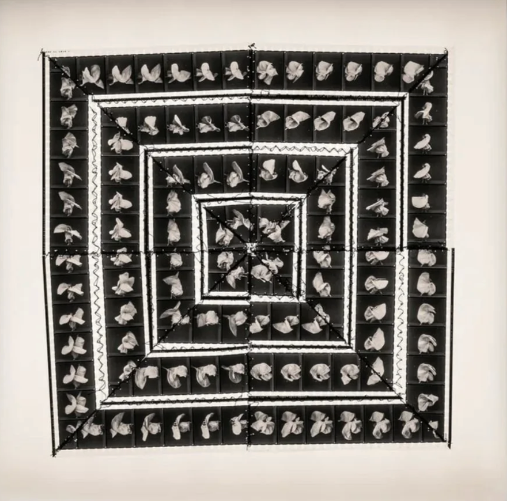 Screenshot 2025-11-11 at 2.34.41 PM.png