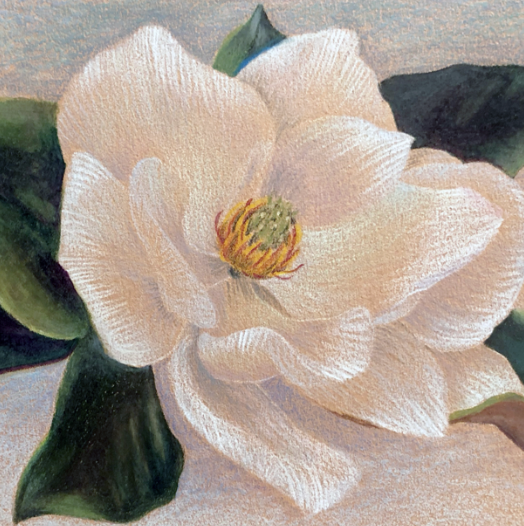 The Magic of Color Pencils - Friday, July 3