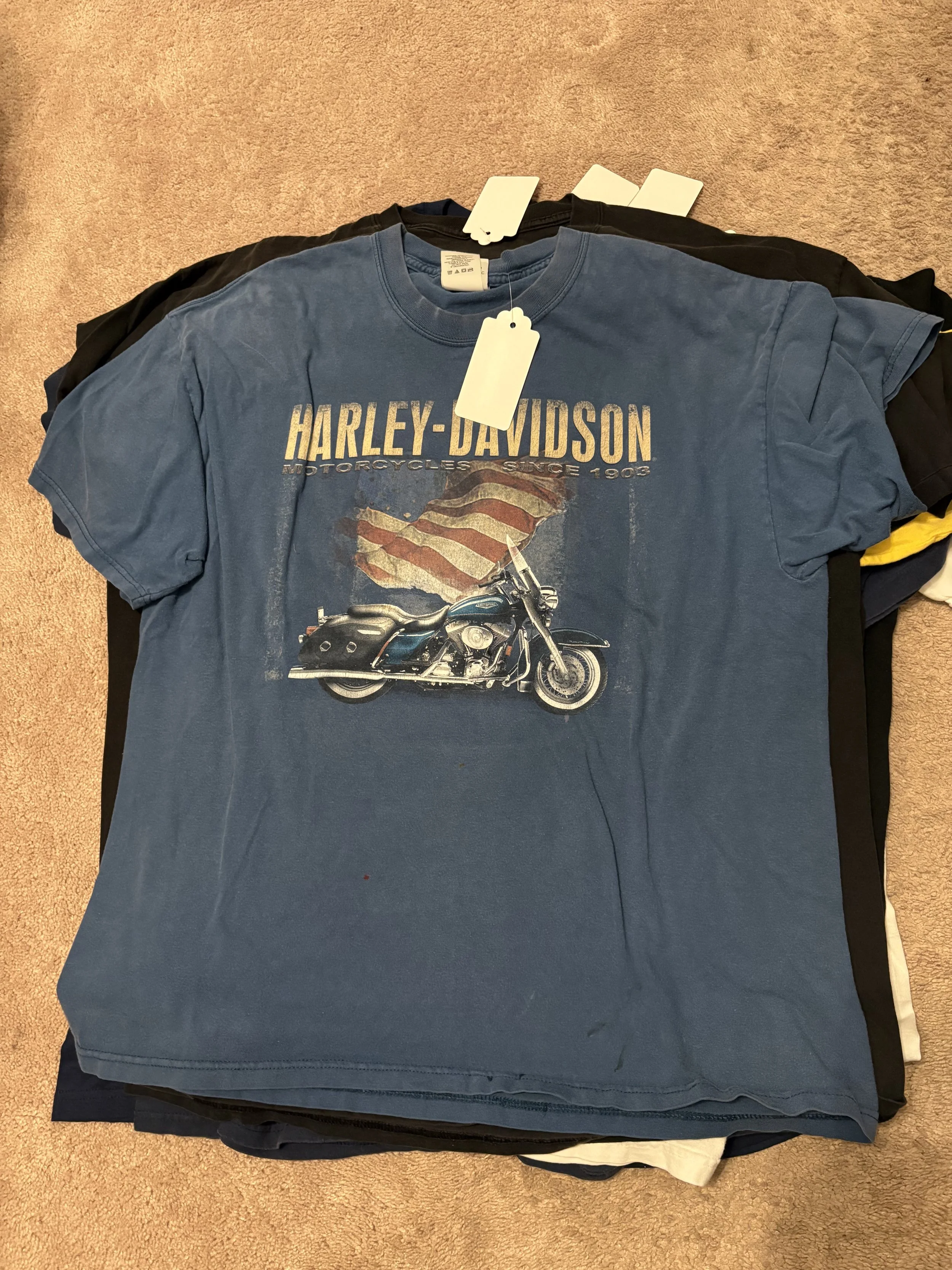 Vintage_Harley_Gator_Shirt.jpg