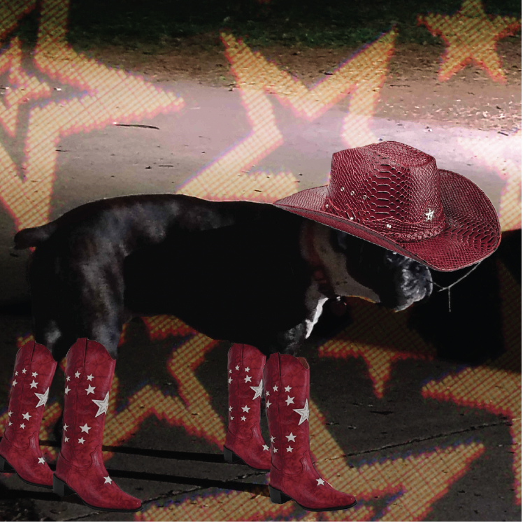 Screenshot 2026-04-19 at 1.23.09 PM.png