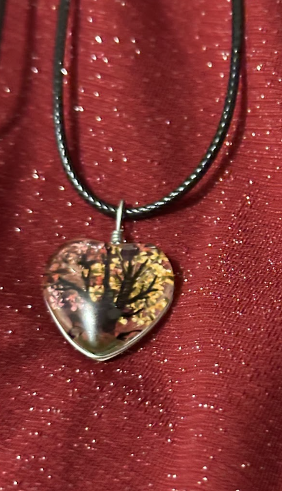 Screenshot 2026-03-12 at 5.12.48 PM.png