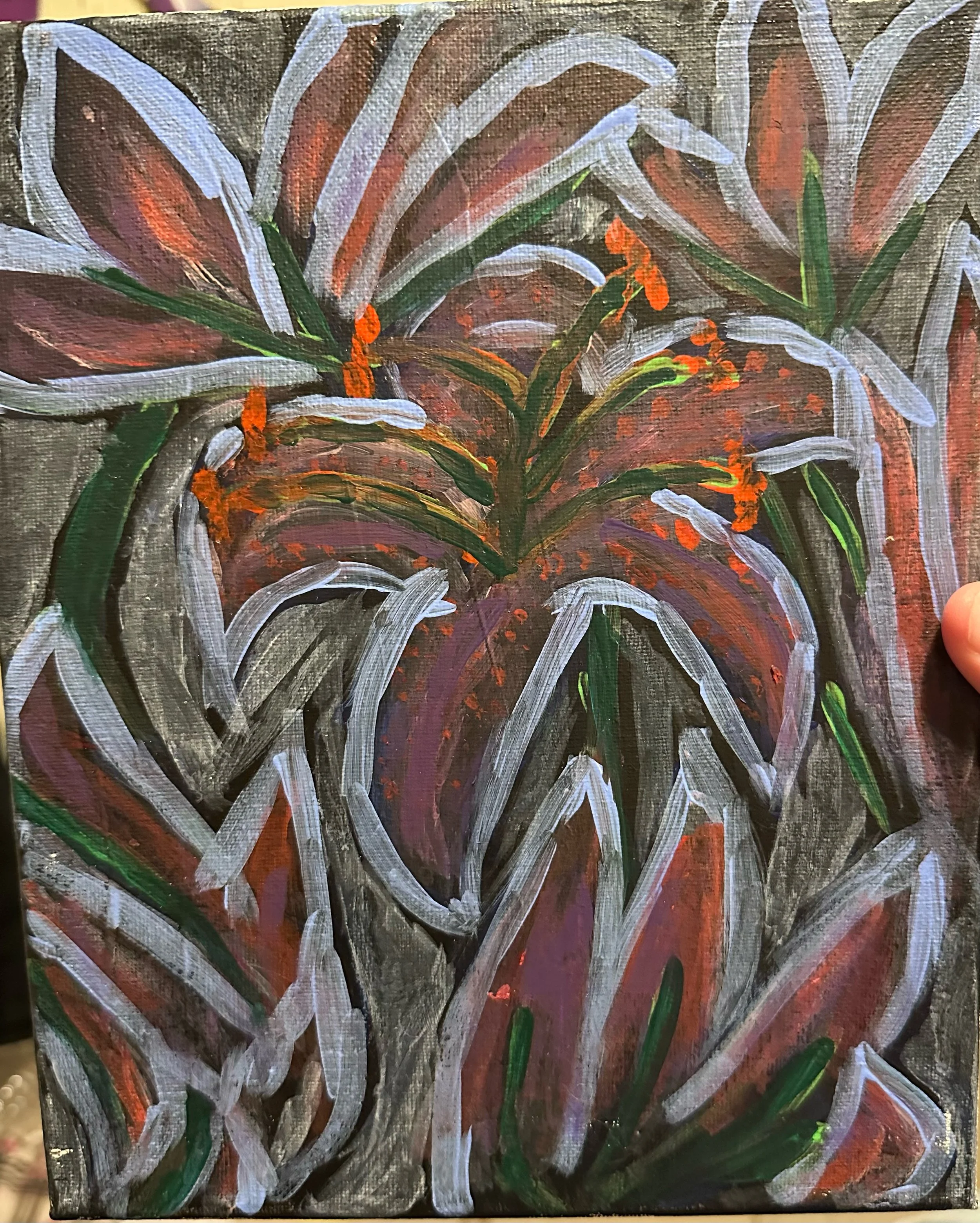 Field of Tiger Lilies.JPG